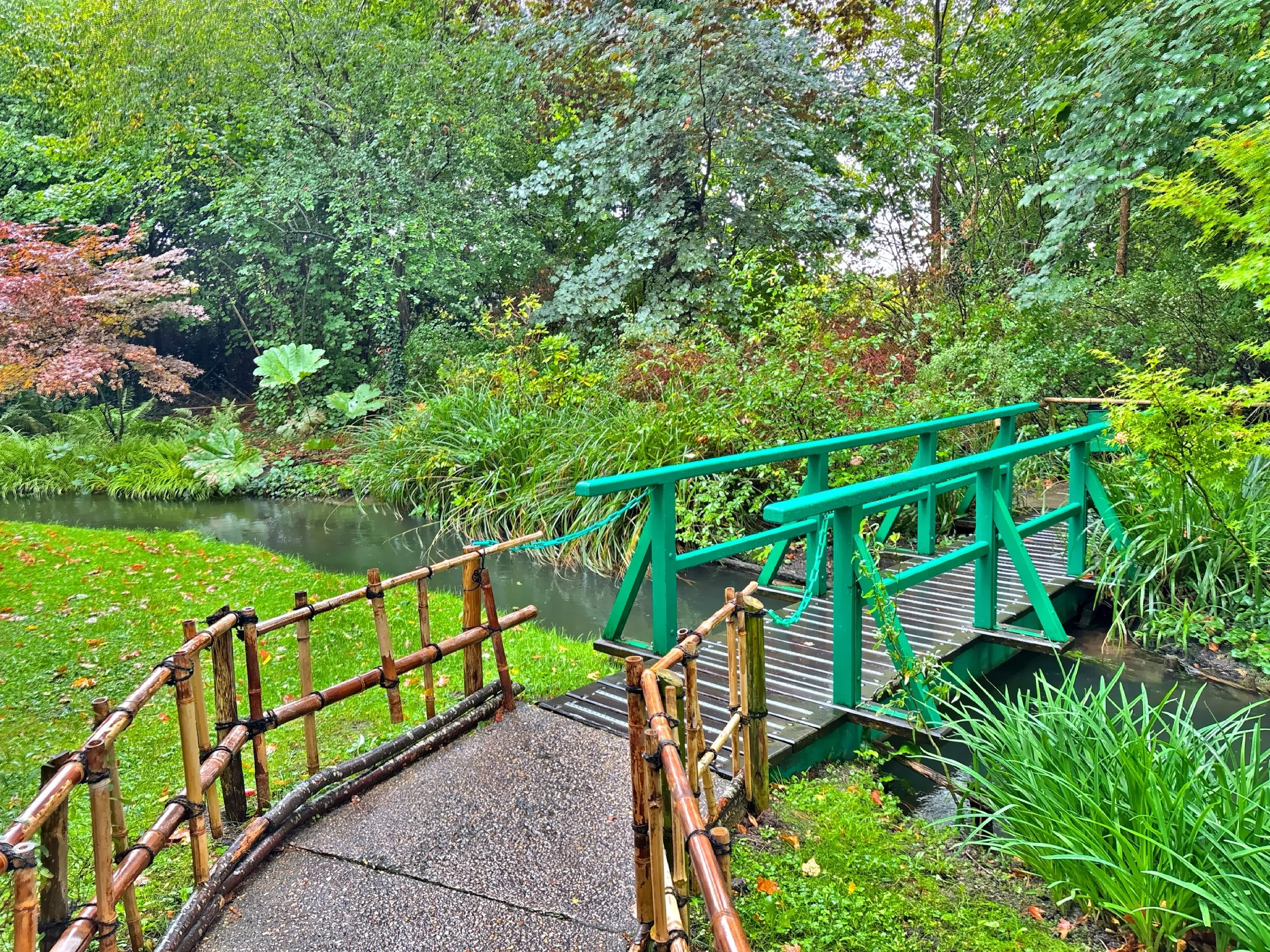  It’s like walking through a series of canvases, each one unfolding in real time. 