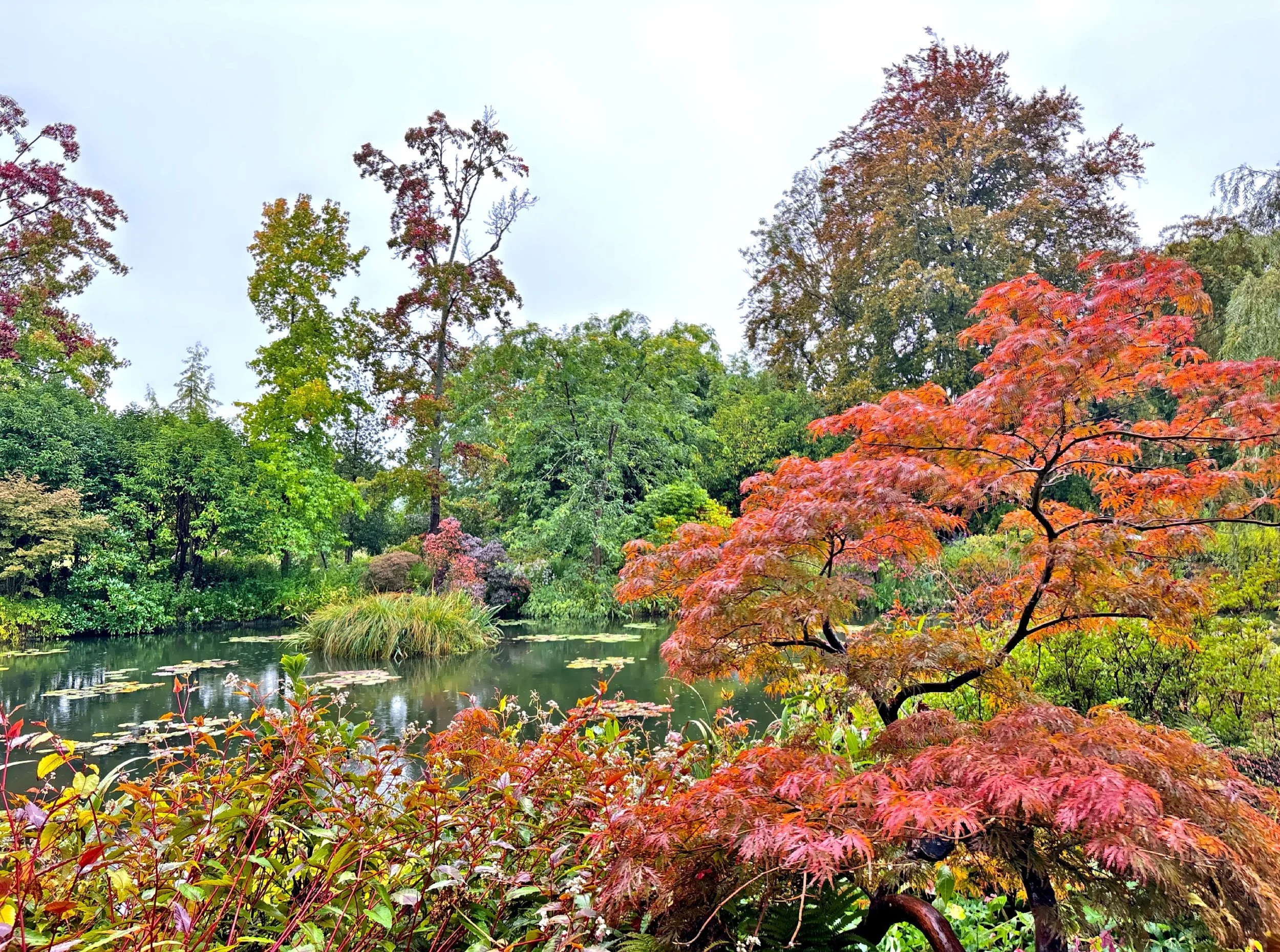  Everything is softened by color, filtered light, and a sense of lingering beauty. 