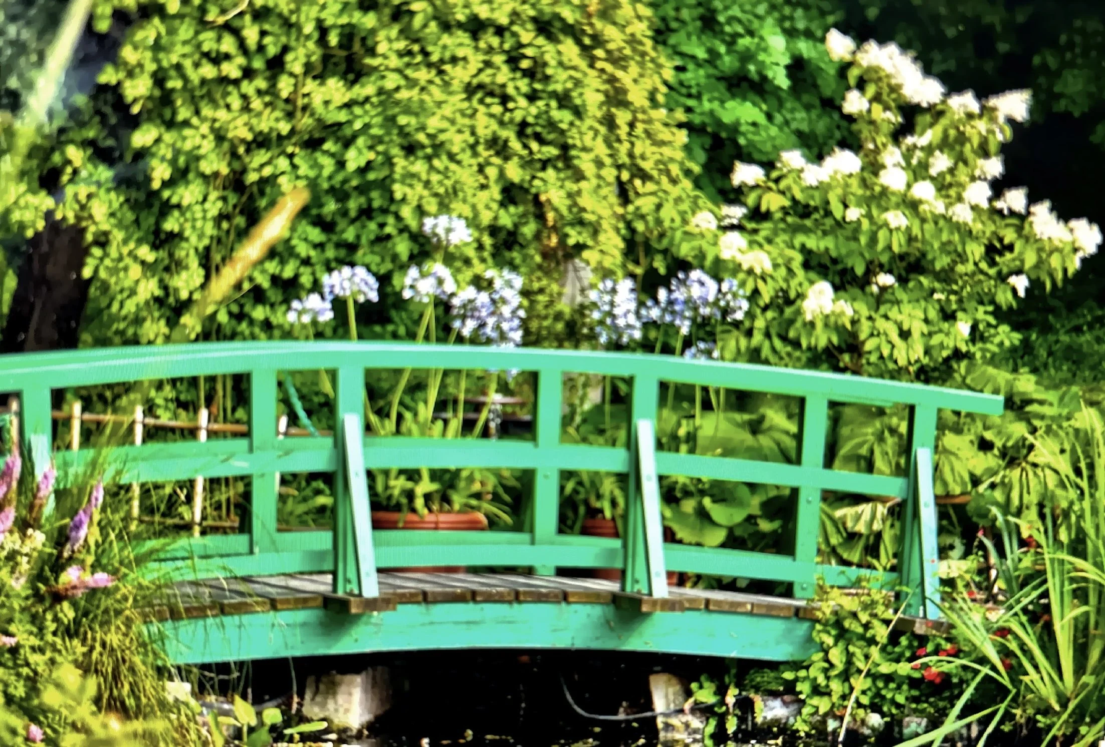  The Japanese bridge appears almost like a memory you already know. 