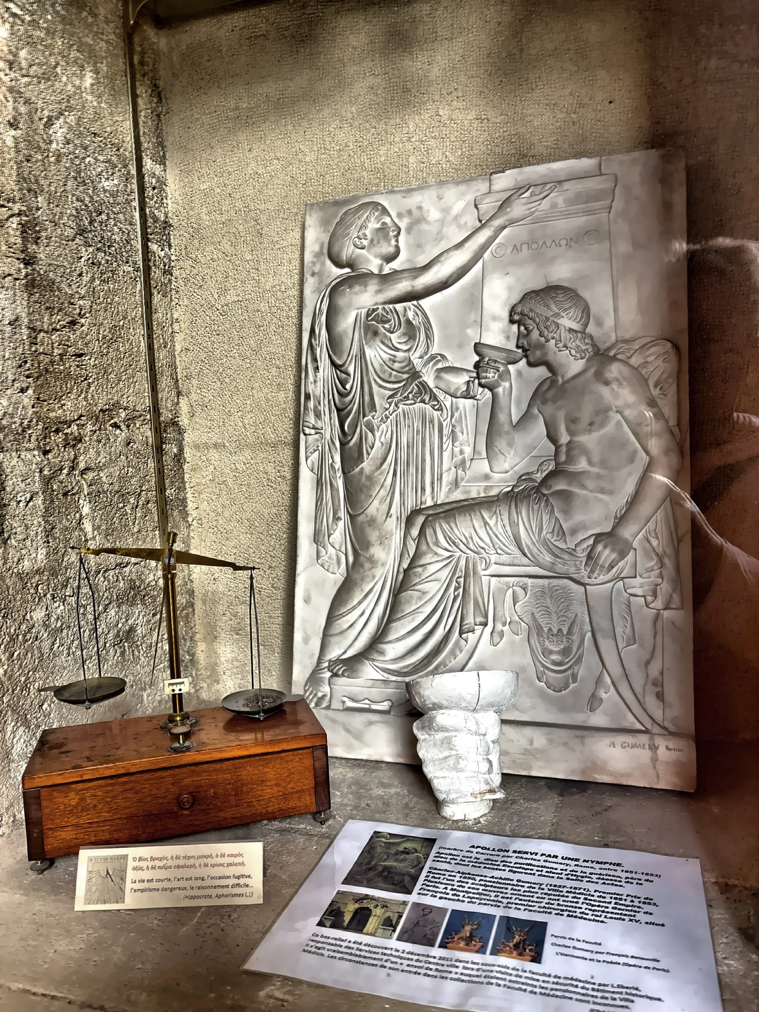  Display cases hold antique anatomical models, early medical instruments, handwritten manuscripts, and relics of the past.. 