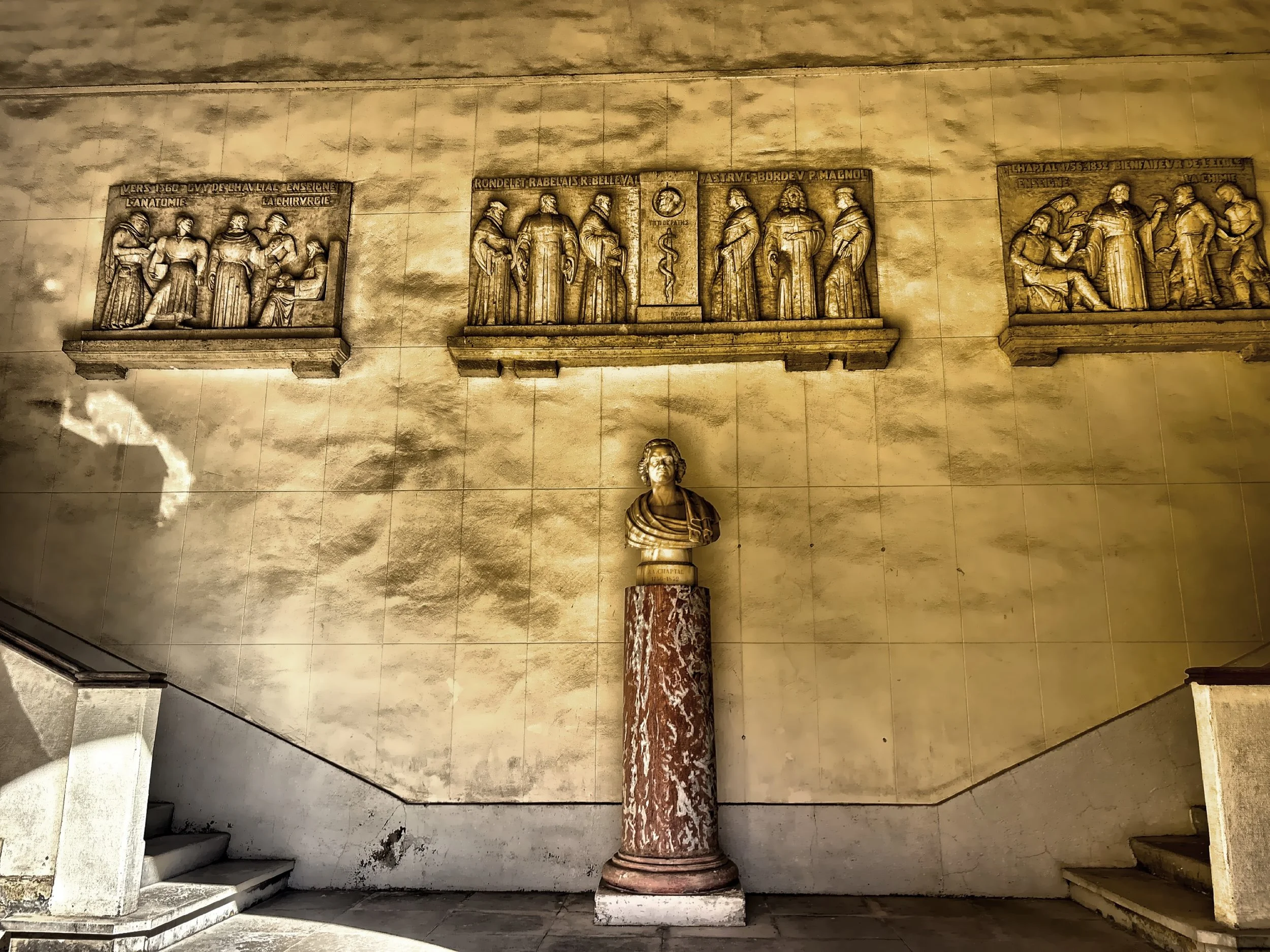  This is a place where centuries of medical scholarship are still very present, wrapped in the quiet, cloistered architecture of its medieval origins. 