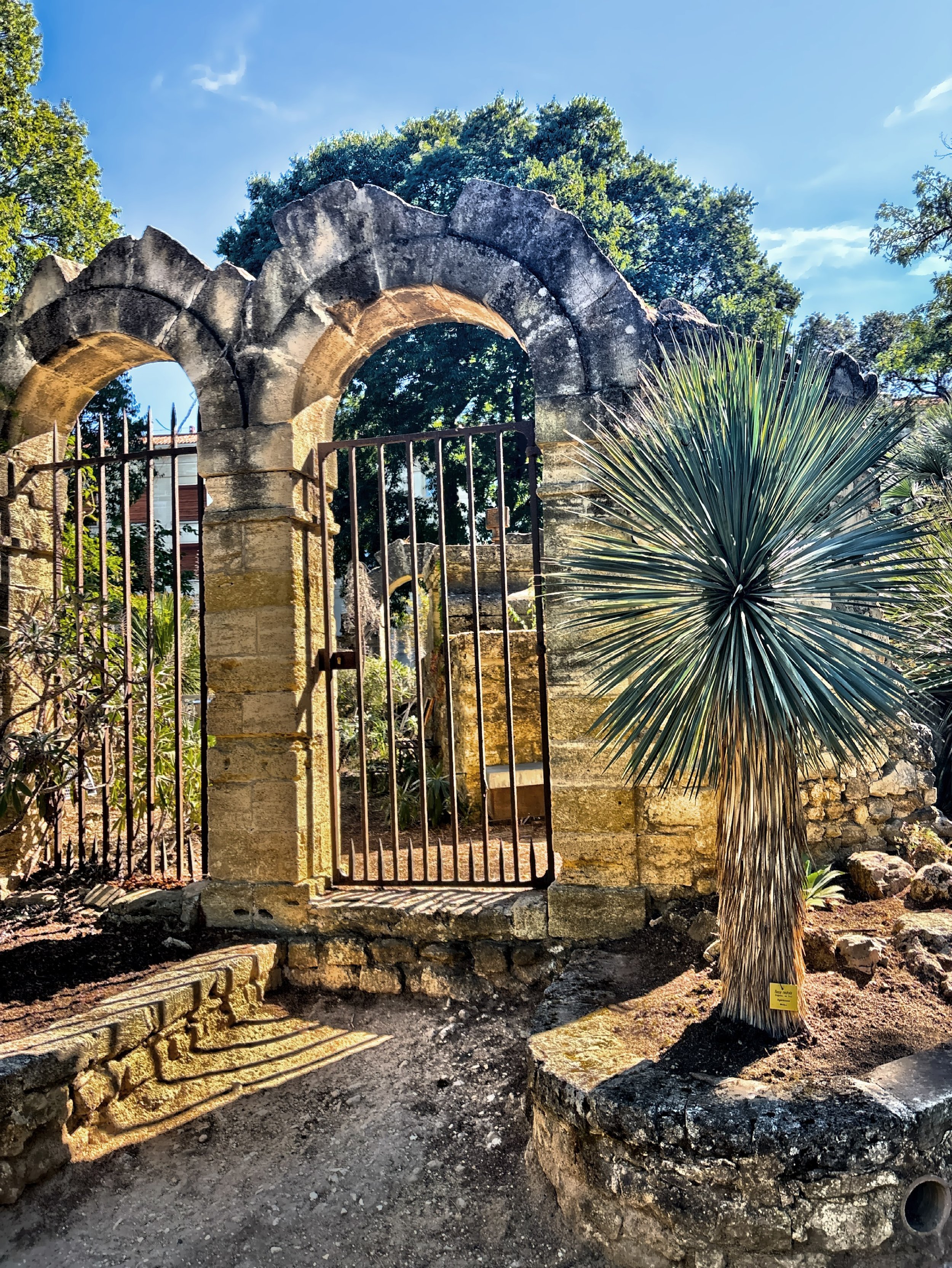  Jardin des Plantes, the oldest botanical garden in France was created in the 16th century for medical students to study plants and remedies, it remains an oasis with medicinal beds, greenhouses, and quiet pathways. 