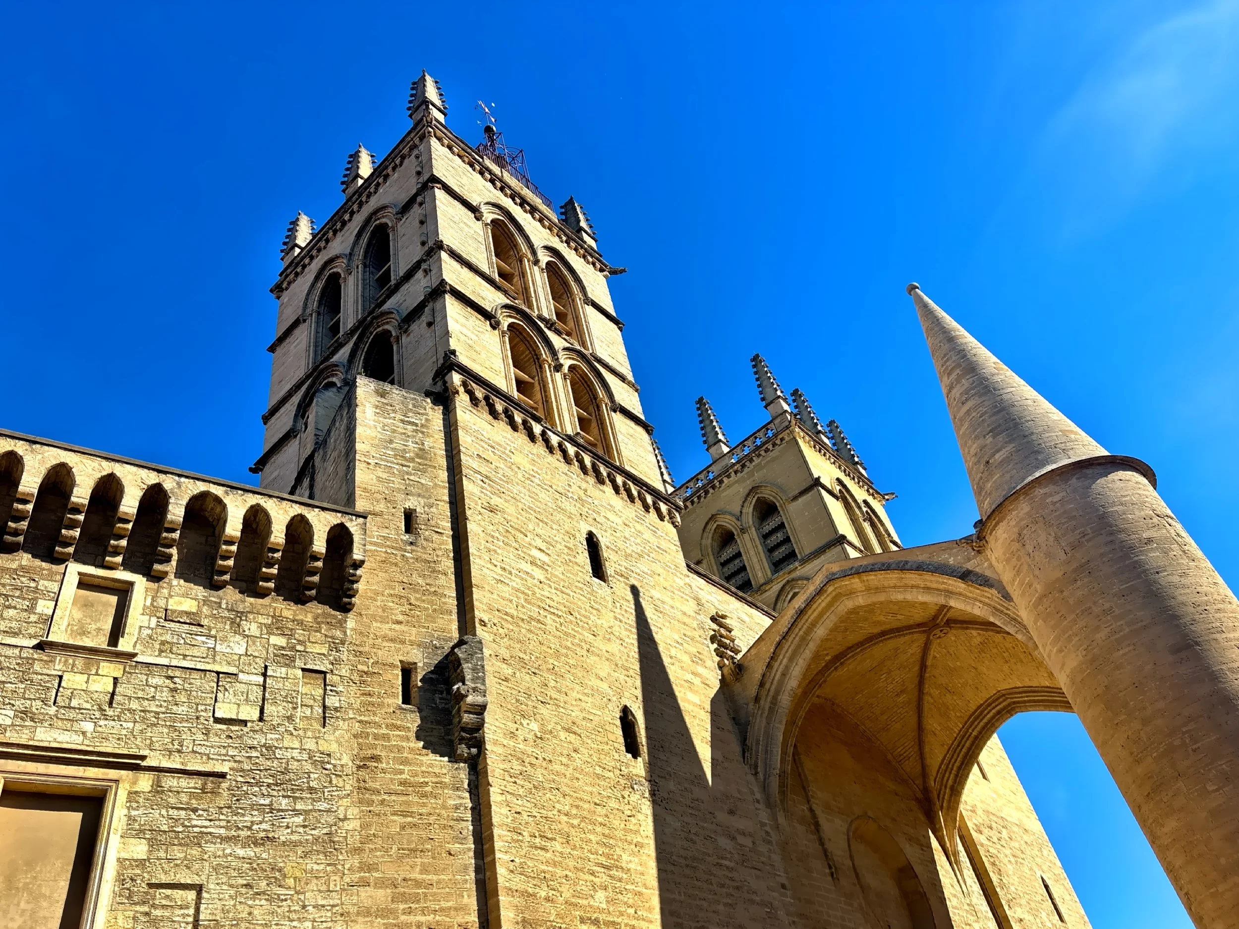   Saint-Pierre Cathedral  rises like a stone guardian over the old town with its towering porch and fortress-like pillars while just steps away stands the  Faculty of Medicine  — one of the oldest in Europe. 