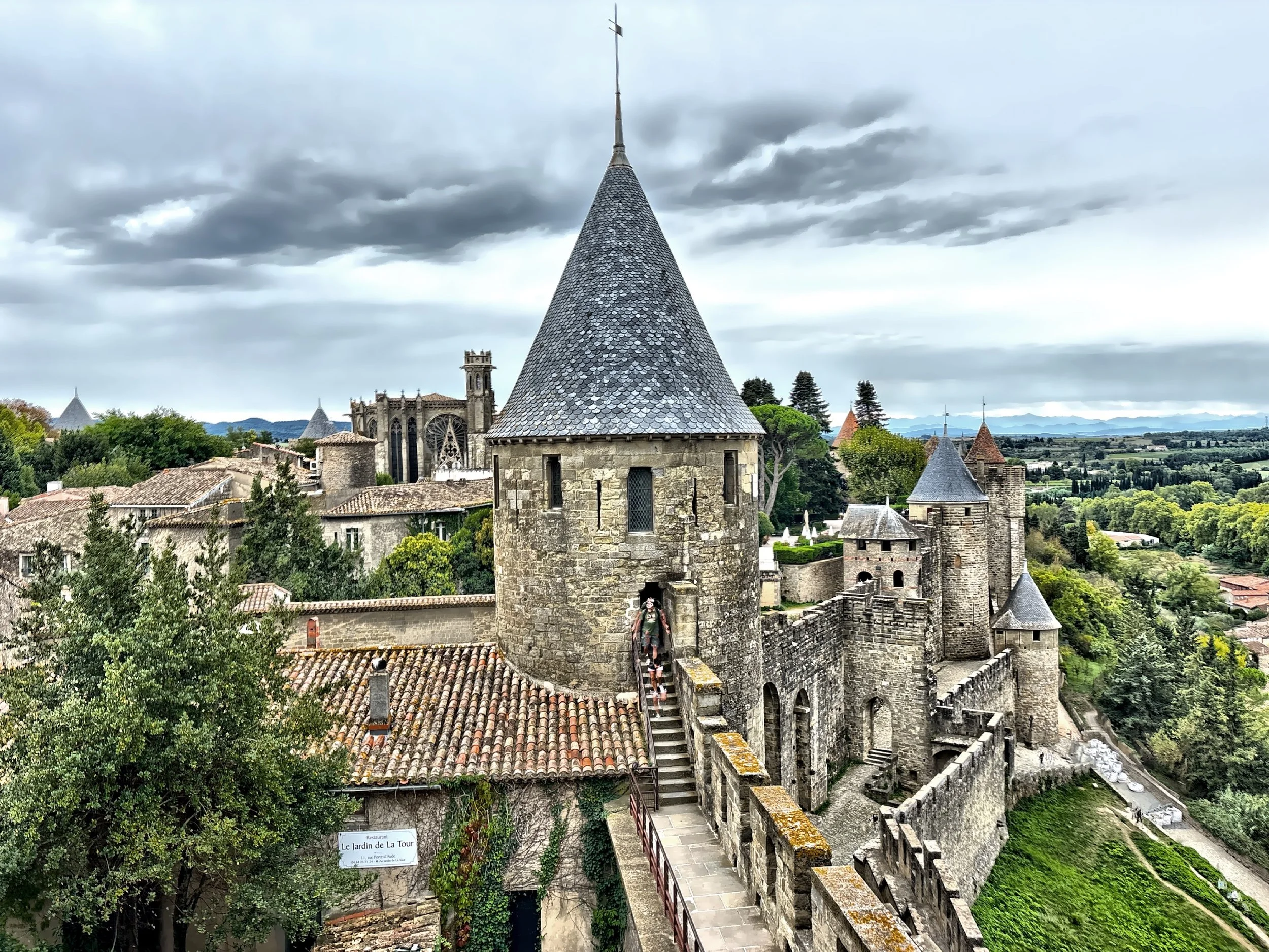  Looking out from the castle like a medieval sentry. 