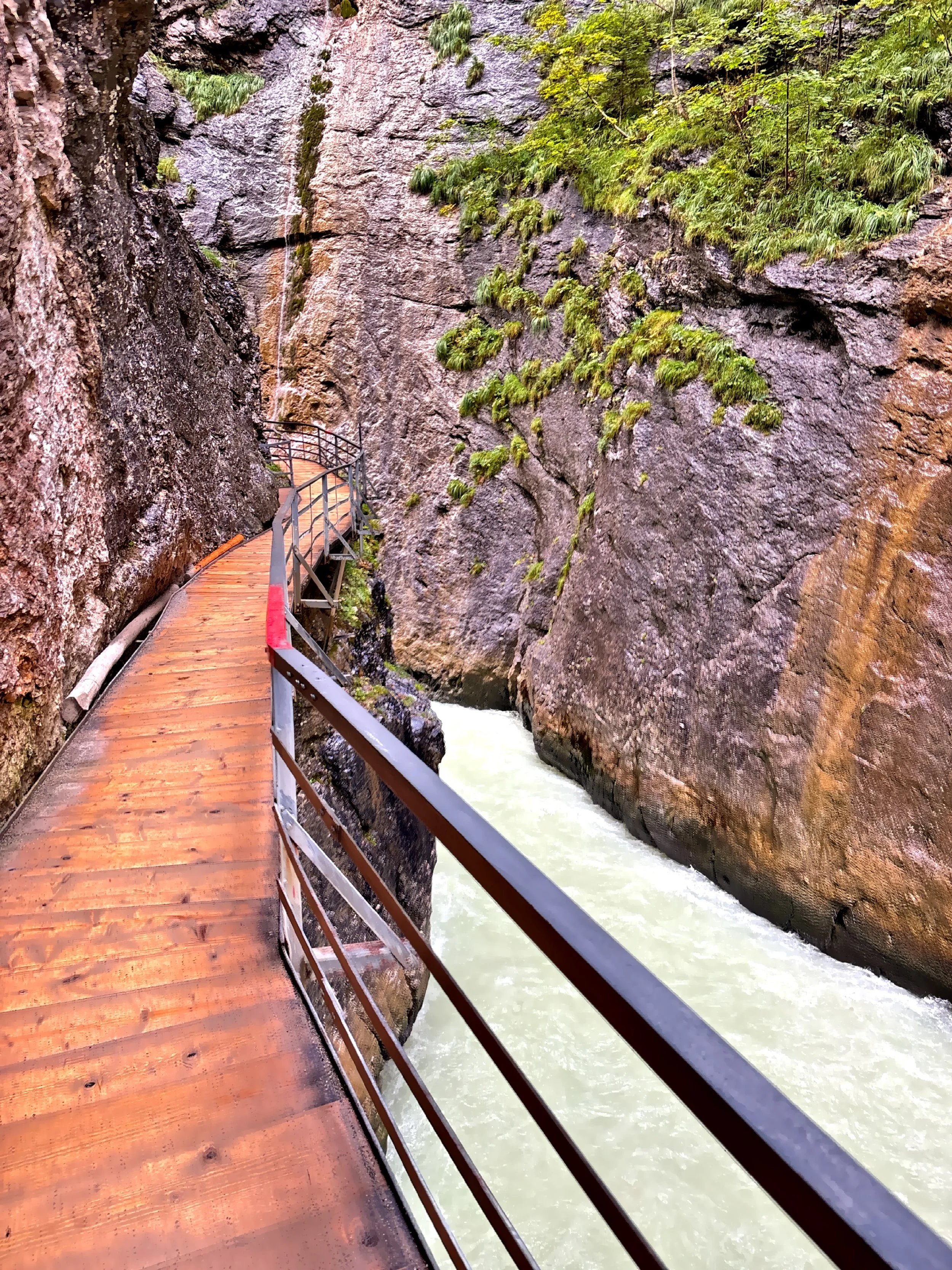  Elevated wooden paths and tunnels allow easy exploration of the gorge. 