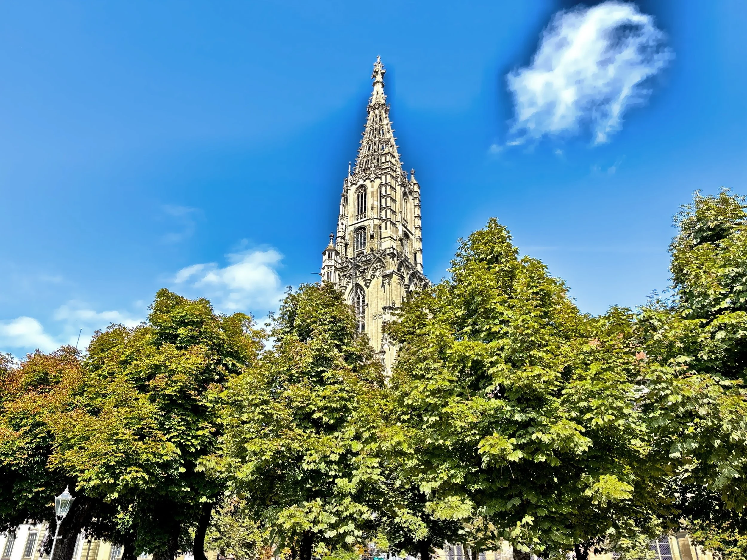  Bern Minster the tallest cathedral in Switzerland. 