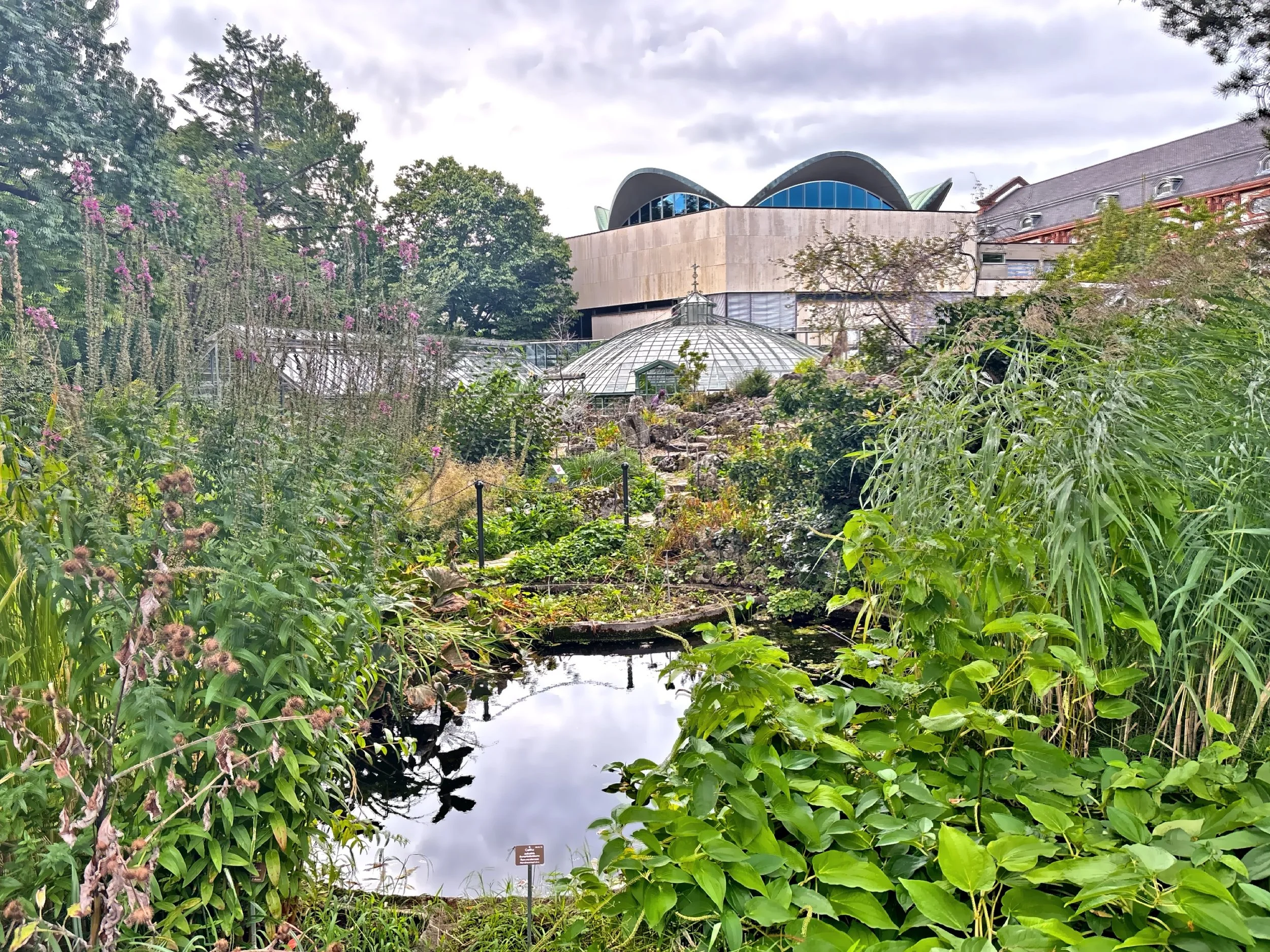  The Botanical Garden of the University of Basel was founded in 1589 by Caspar Bauhin and is now located next to the Spalentor in the historic part of the city of Basel. 