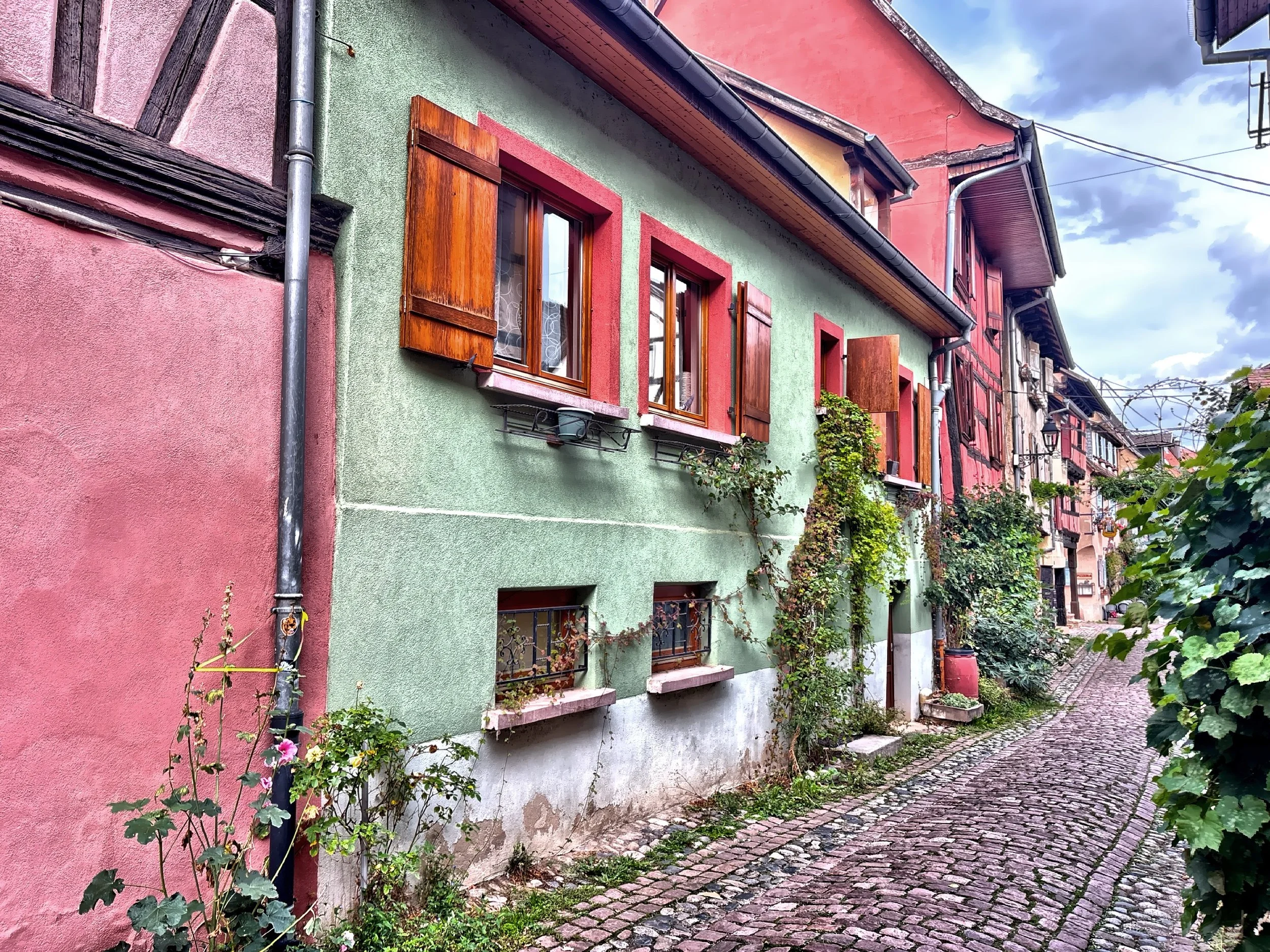  A quiet street in Eguisheim, where history curves instead of running straight. 
