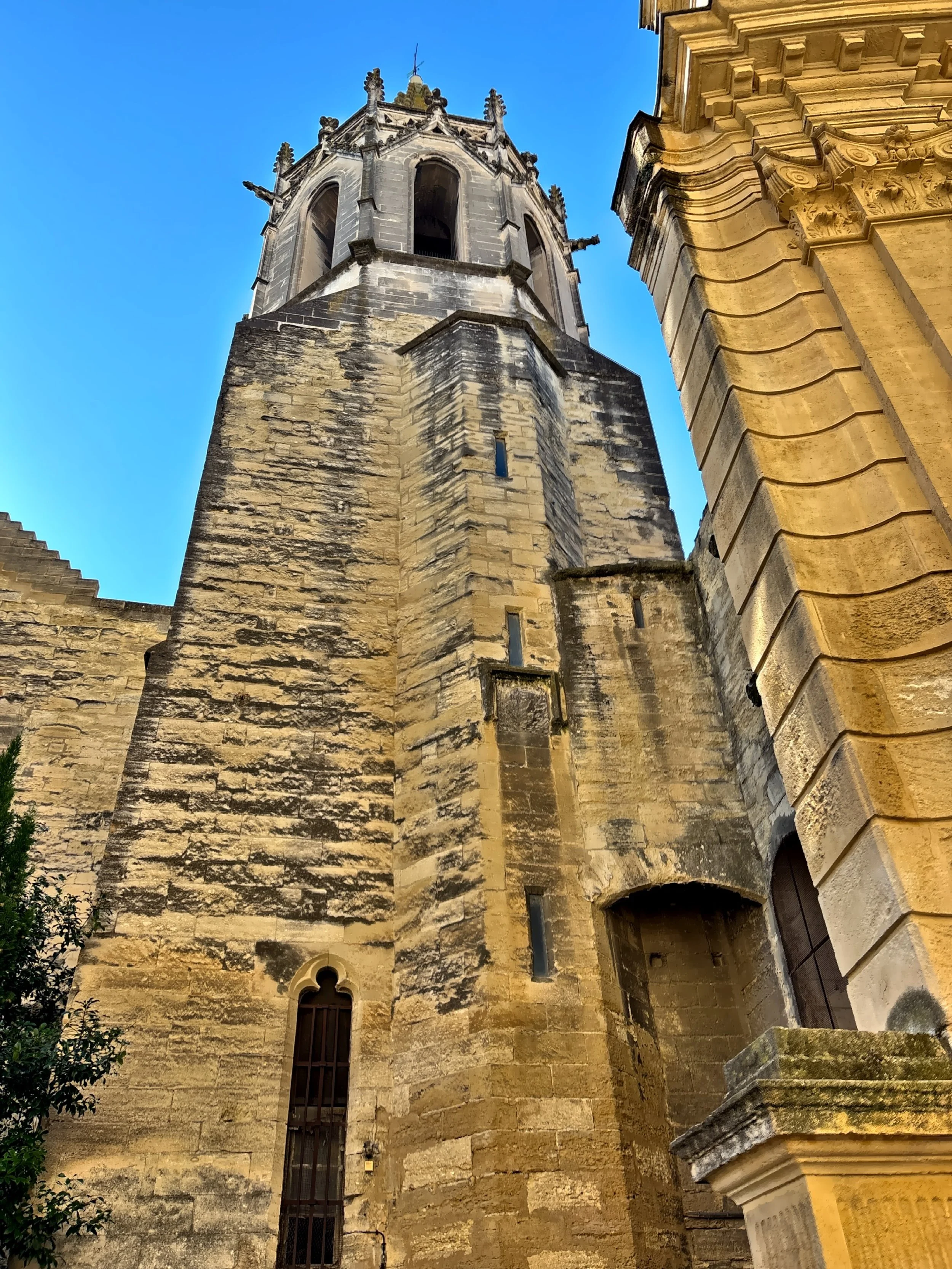 IMG_3388.JPG