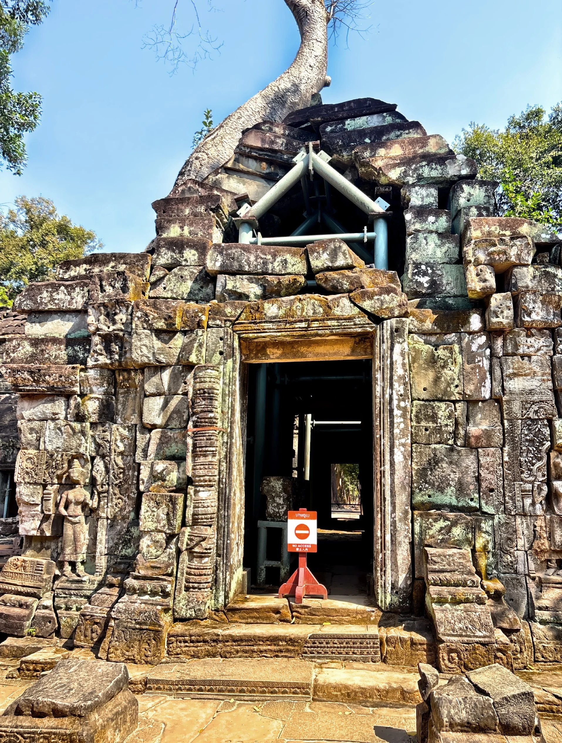 Many of the corridors are impassable, clogged with jumbled piles of delicately carved stone blocks dislodged by the roots of long-decayed trees.  