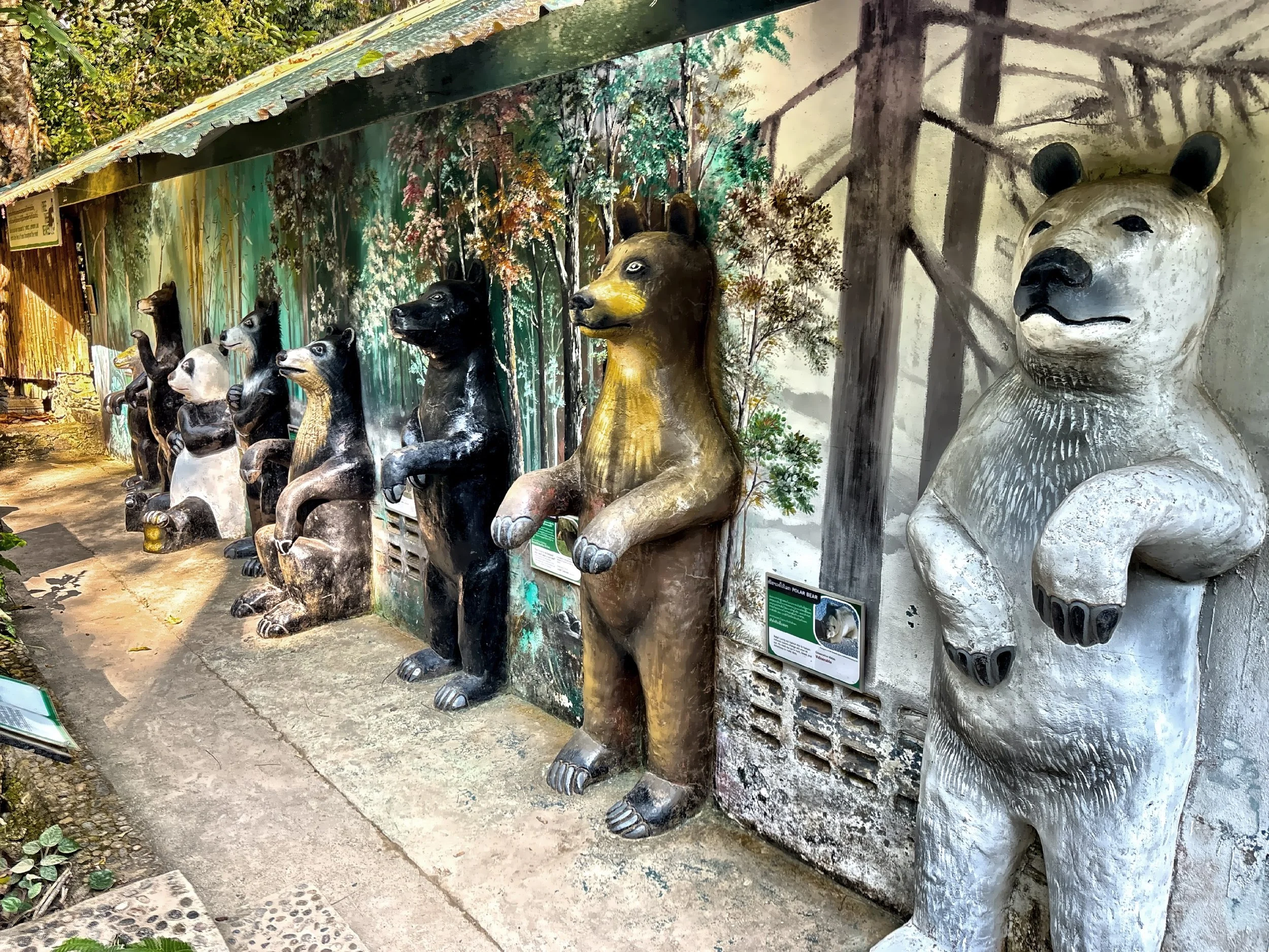  Near the entrance to the waterfall park, you pass through the Tat Kuang Si Bear Rescue Center. 