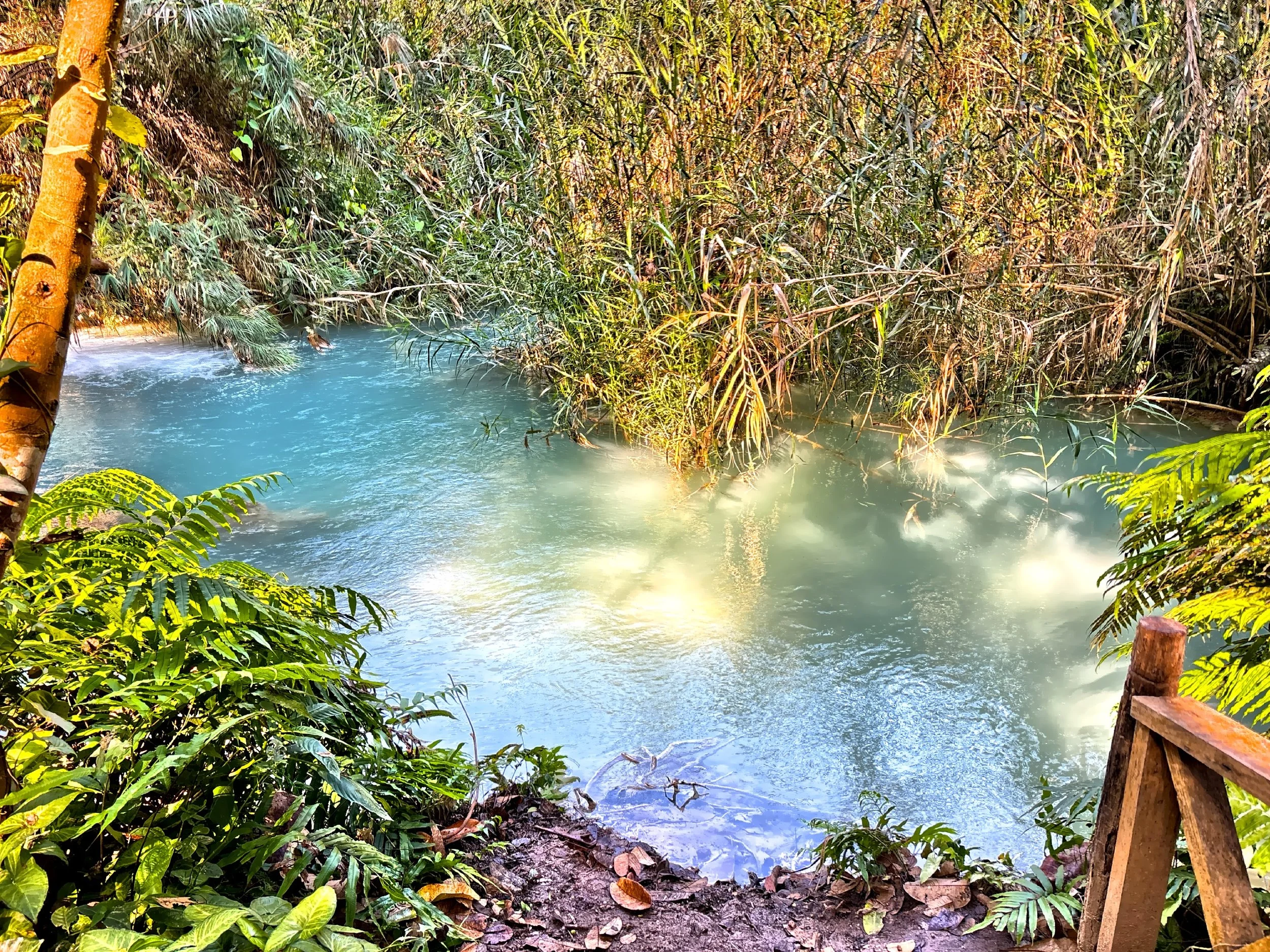  The water’s milky, almost glowing blue comes from high concentrations of limestone minerals. As the water flows over rocks, it picks up calcium carbonate, which scatters light in a way that gives those pools that surreal, opaque turquoise color—almo