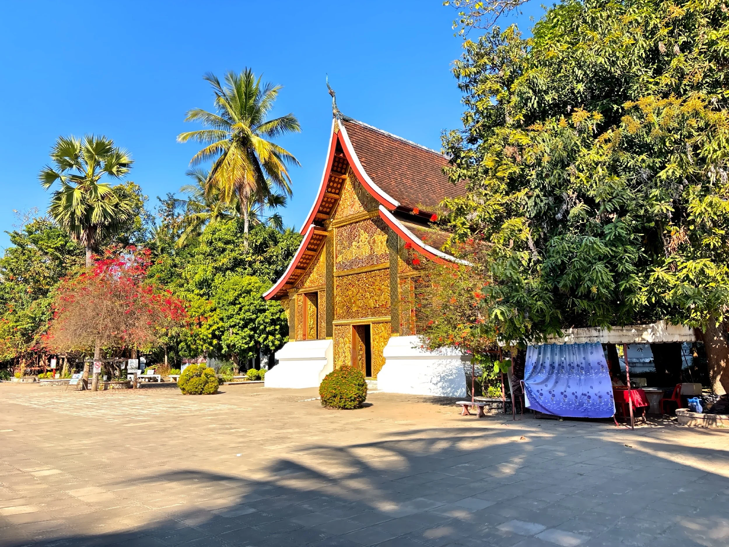 IMG_8466.JPG