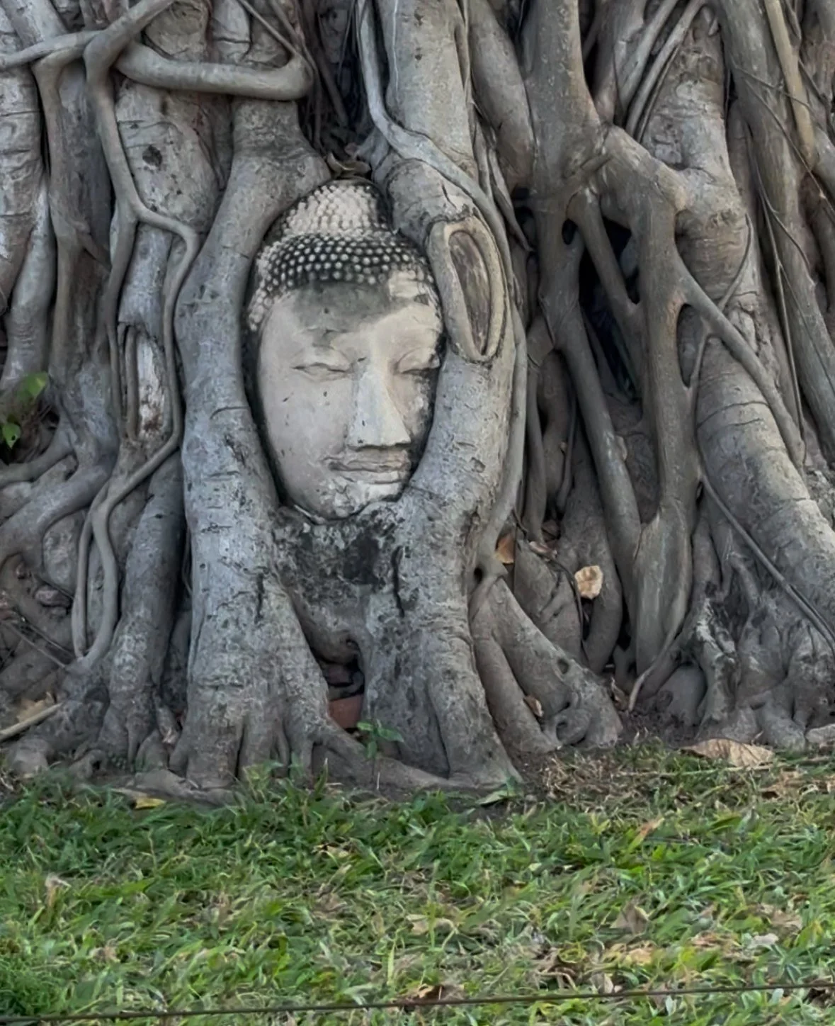  Wat Mahathat – Perhaps the most iconic site, famous for the Buddha head entwined in tree roots. A perfect photo opportunity and a quiet place to reflect. 