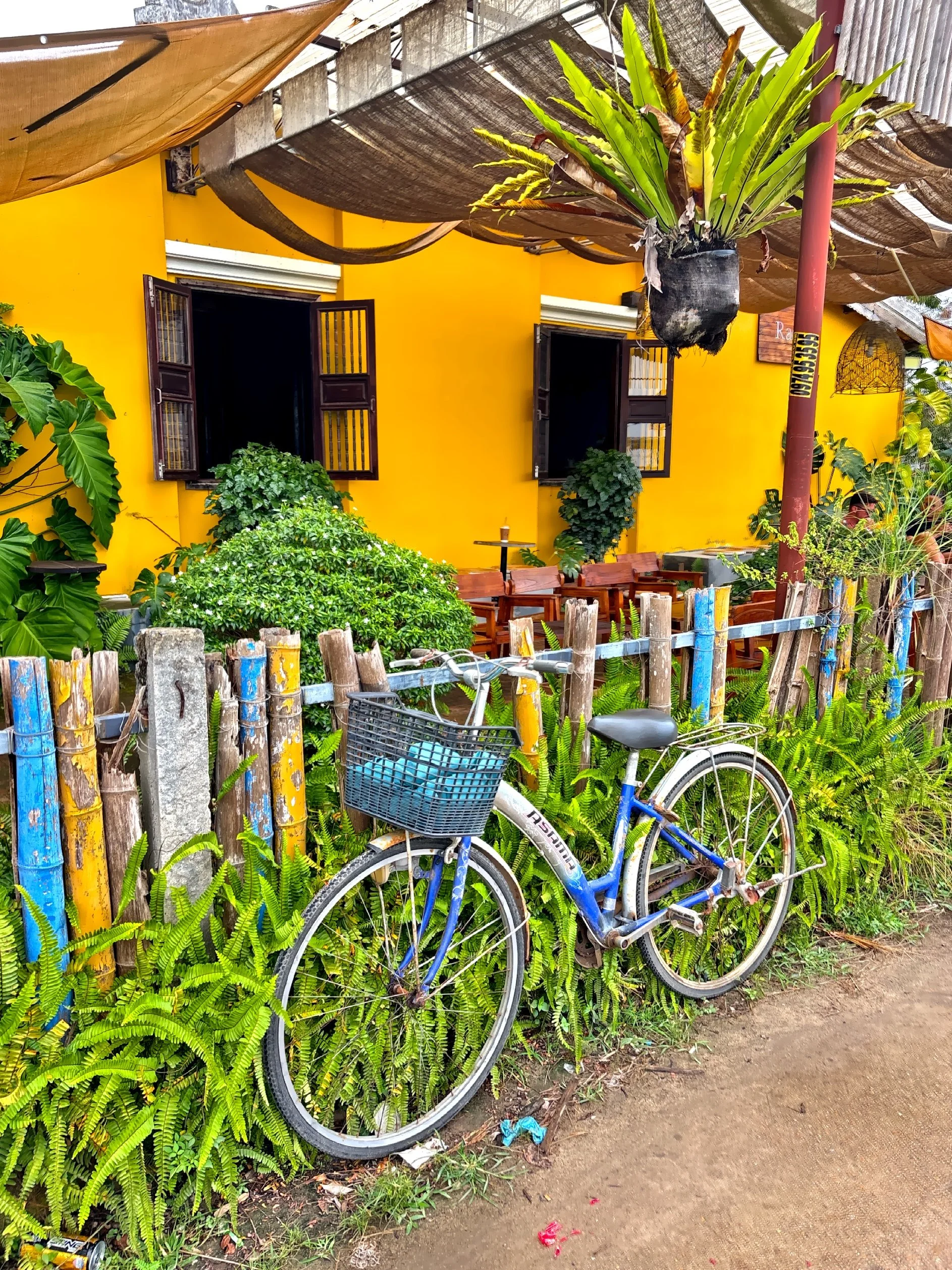  The iconic yellow building with wooden shutters are characteristic of Hoi An’s traditional architecture. 