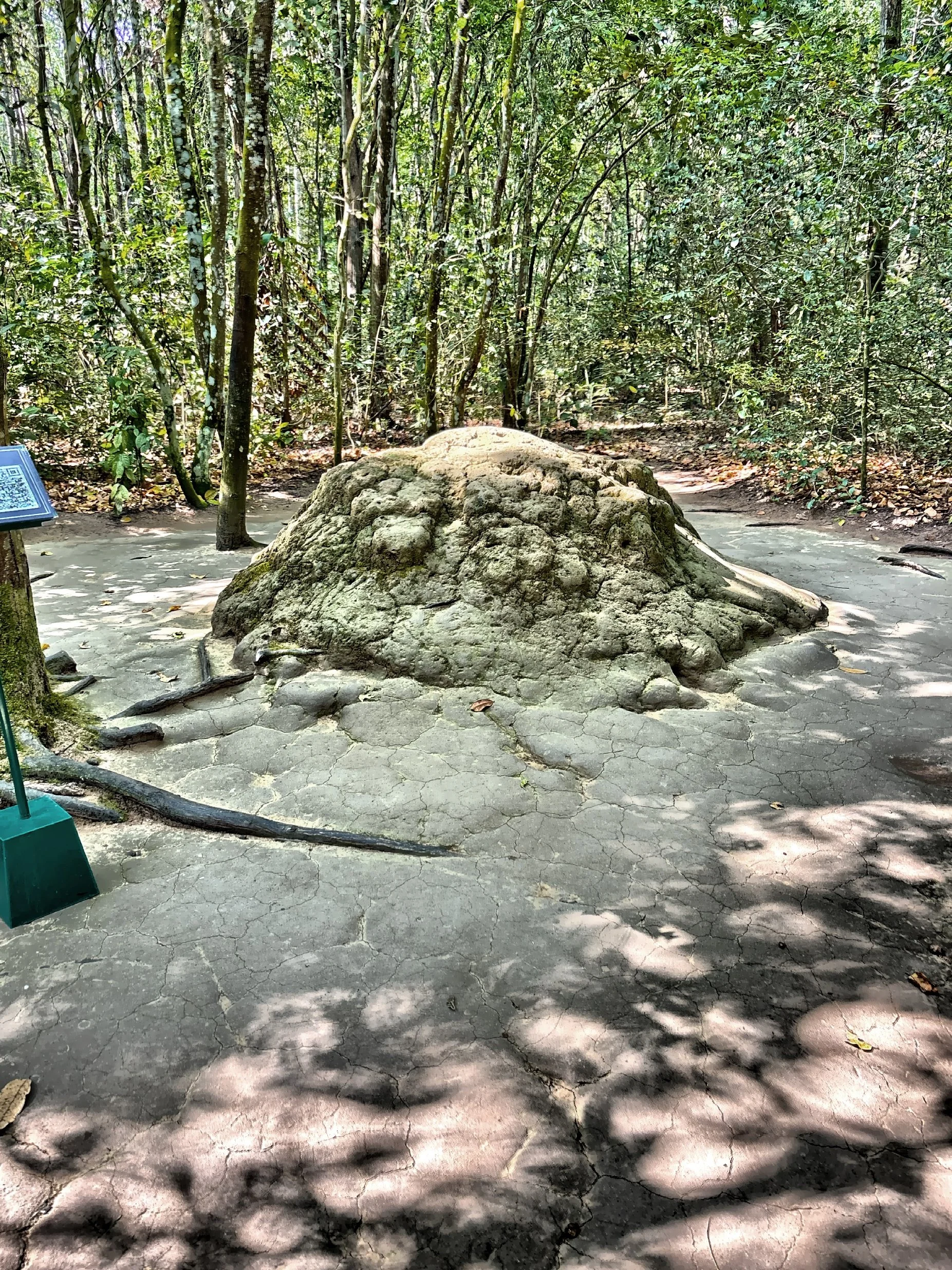  A ventilator for the underground tunnels disguised to look like a natural termite mound. 