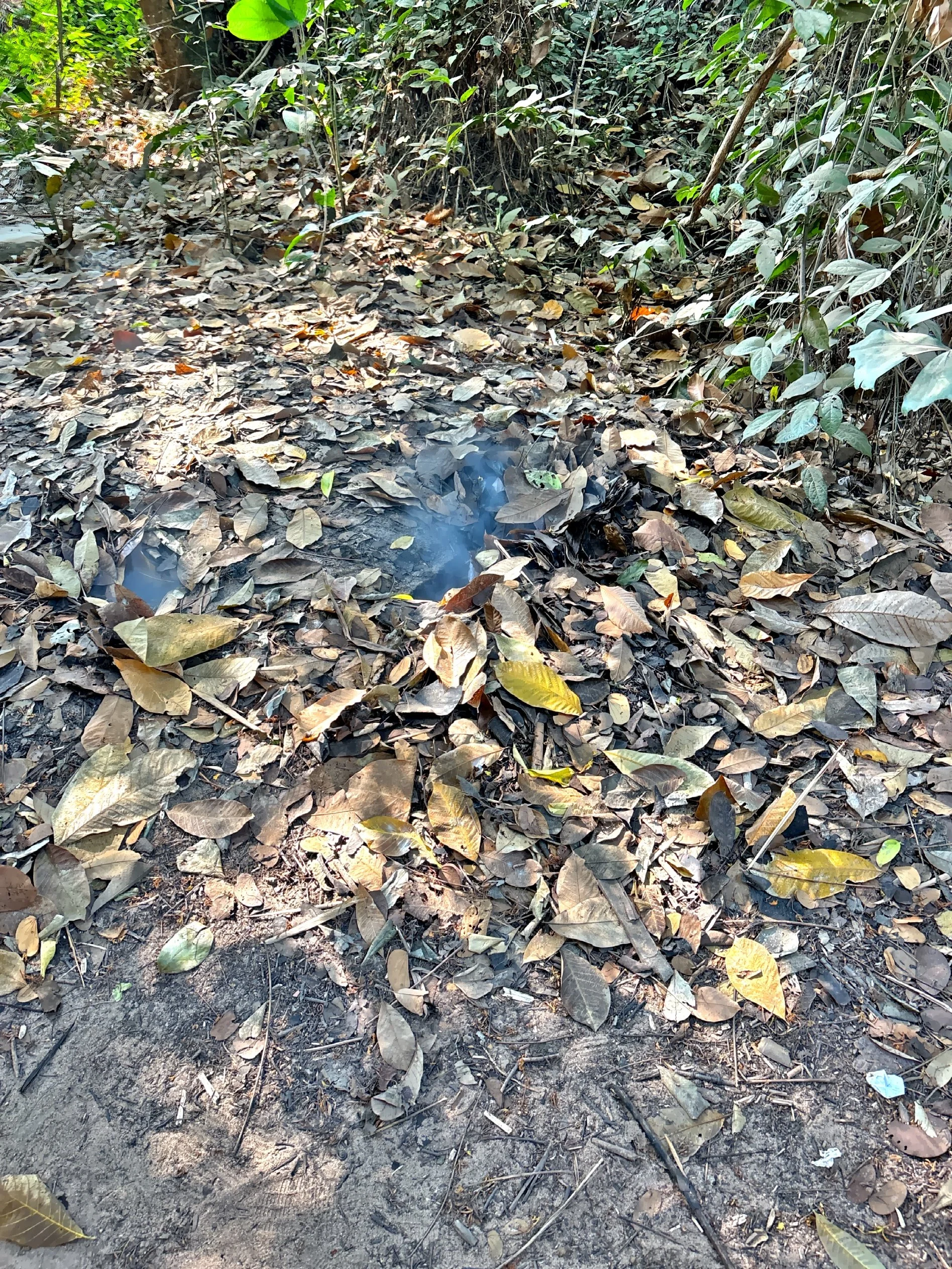  To avoid detections, small, well-camouflaged smoke vent or hidden chimney we placed far from the actual kitchen. They were often hidden among foliage or termite mounds and were used during foggy or humid conditions so the smoke would blend into the 