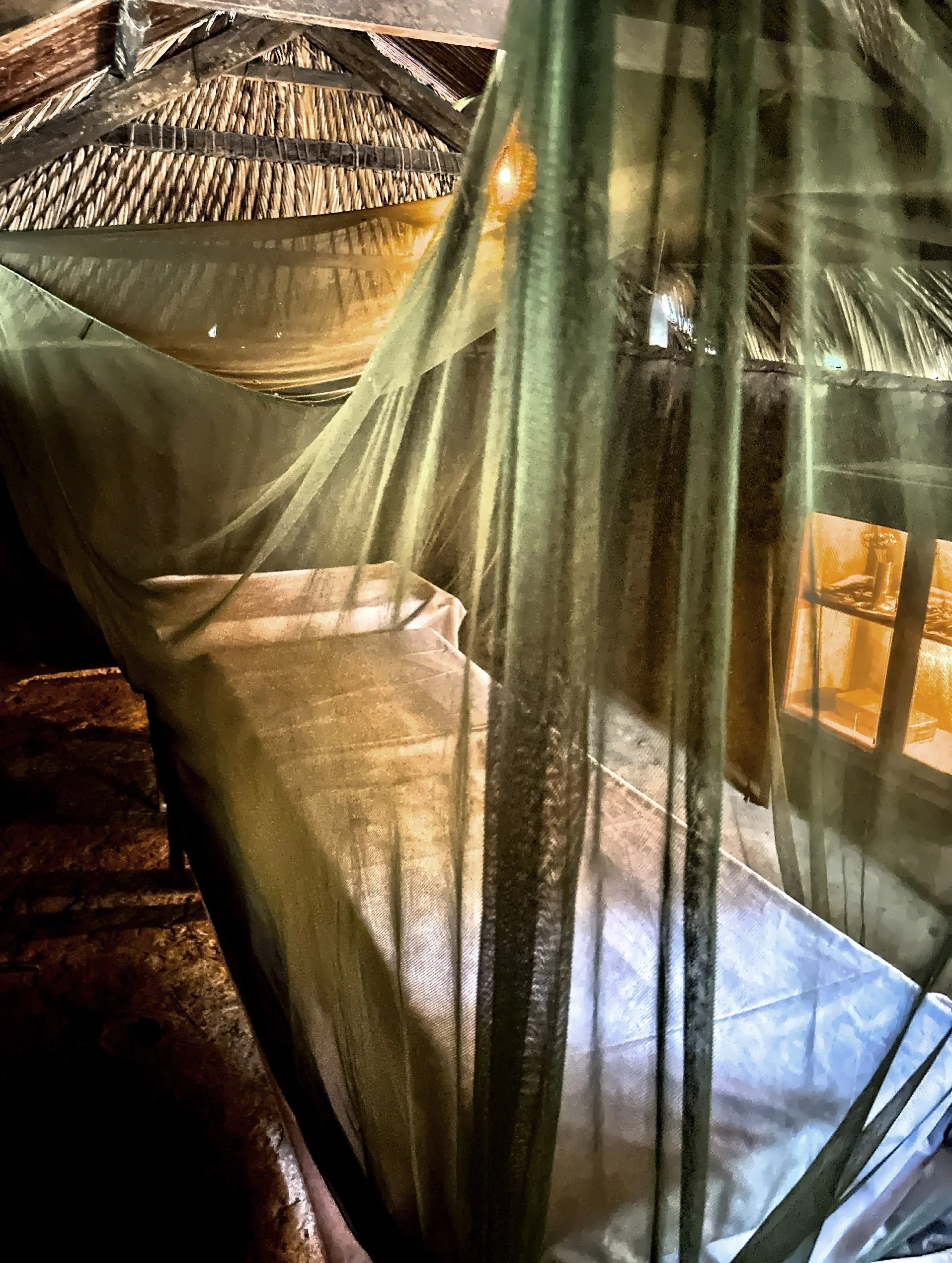  The recreated surgical area. 