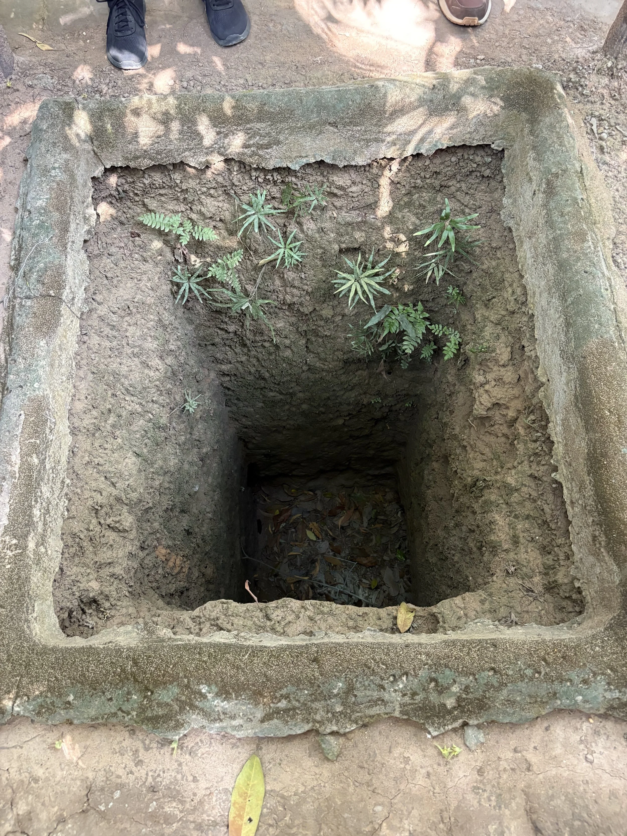  An old tunnel entrance. 