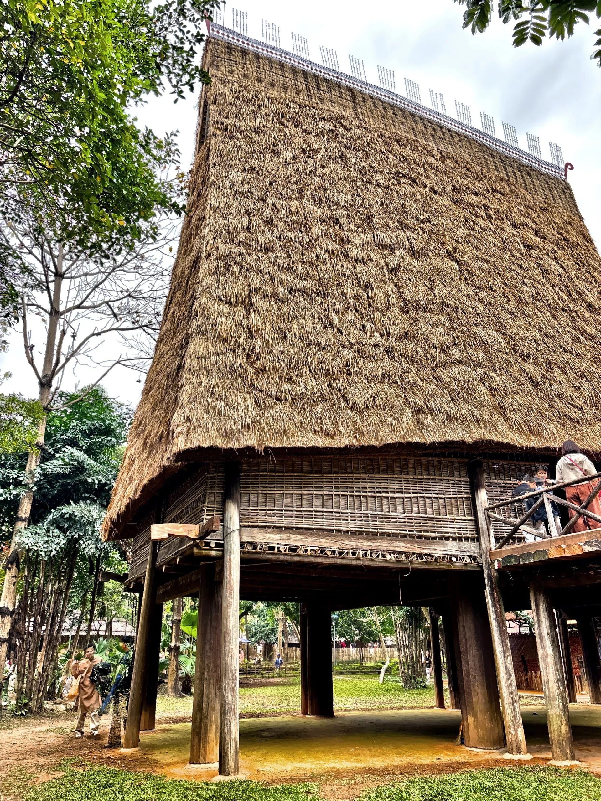  The traditional thatched roof structure. 
