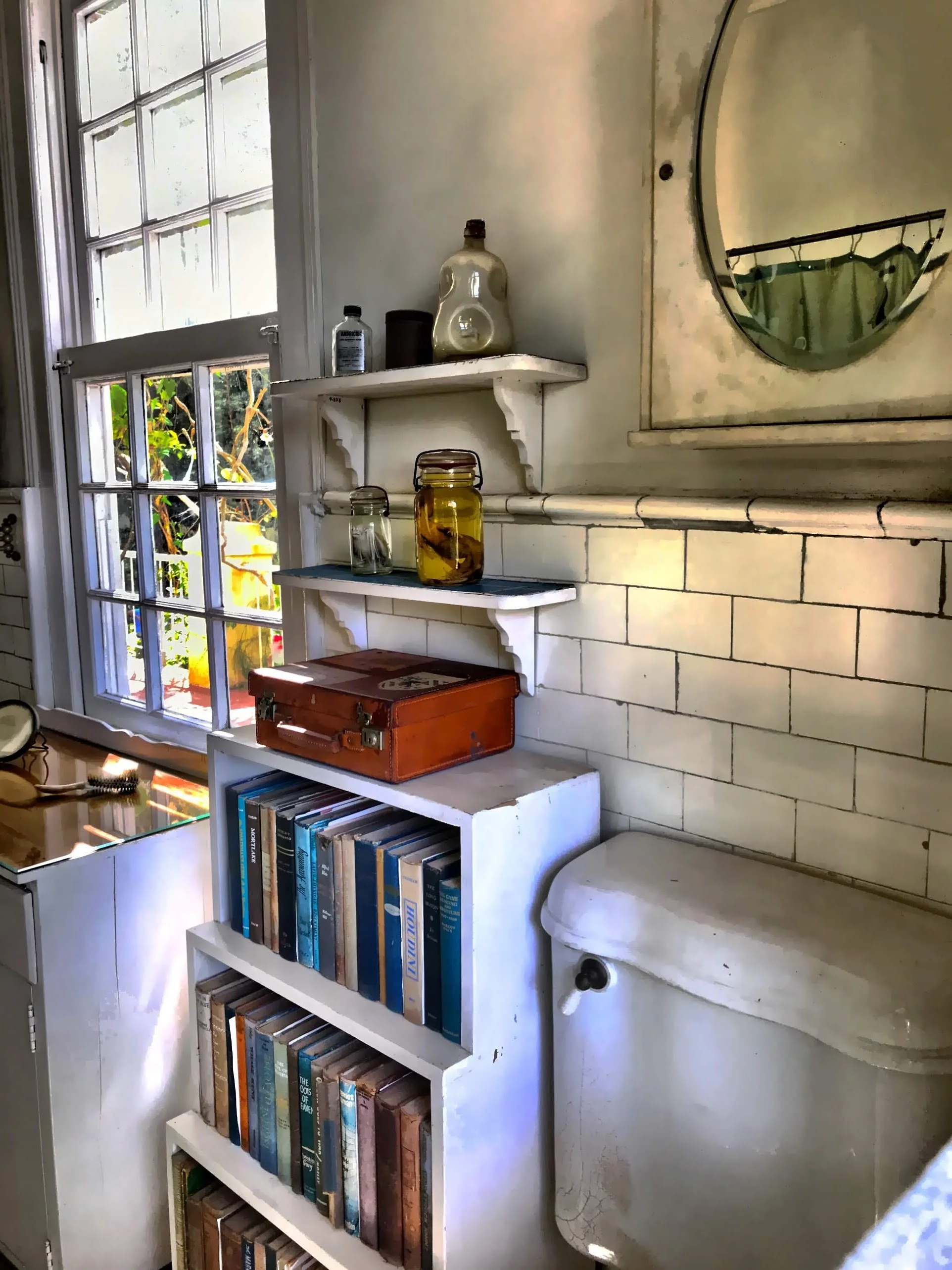  Books even in the bathroom. 