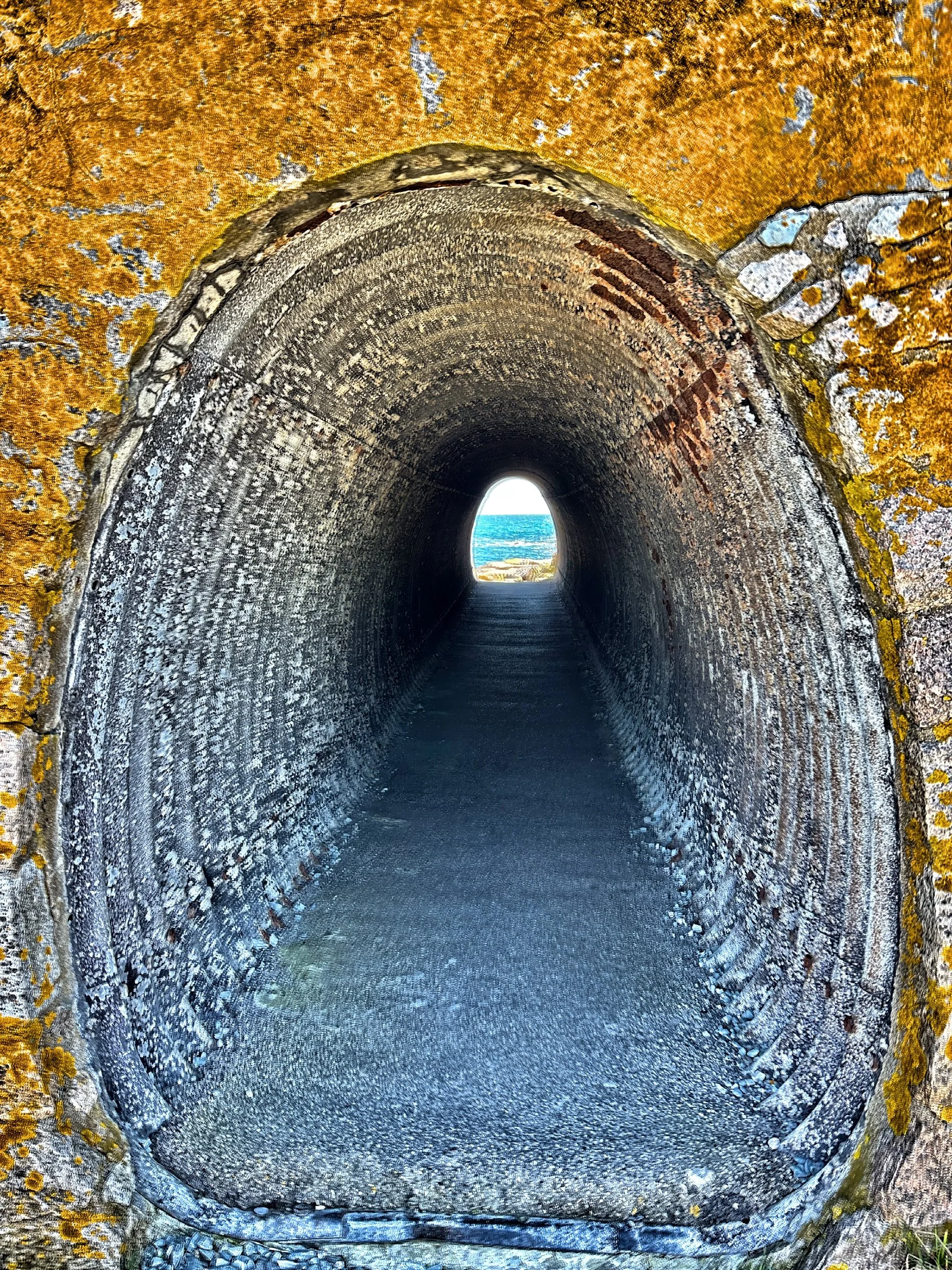  A tunnel on Cliff Walk 