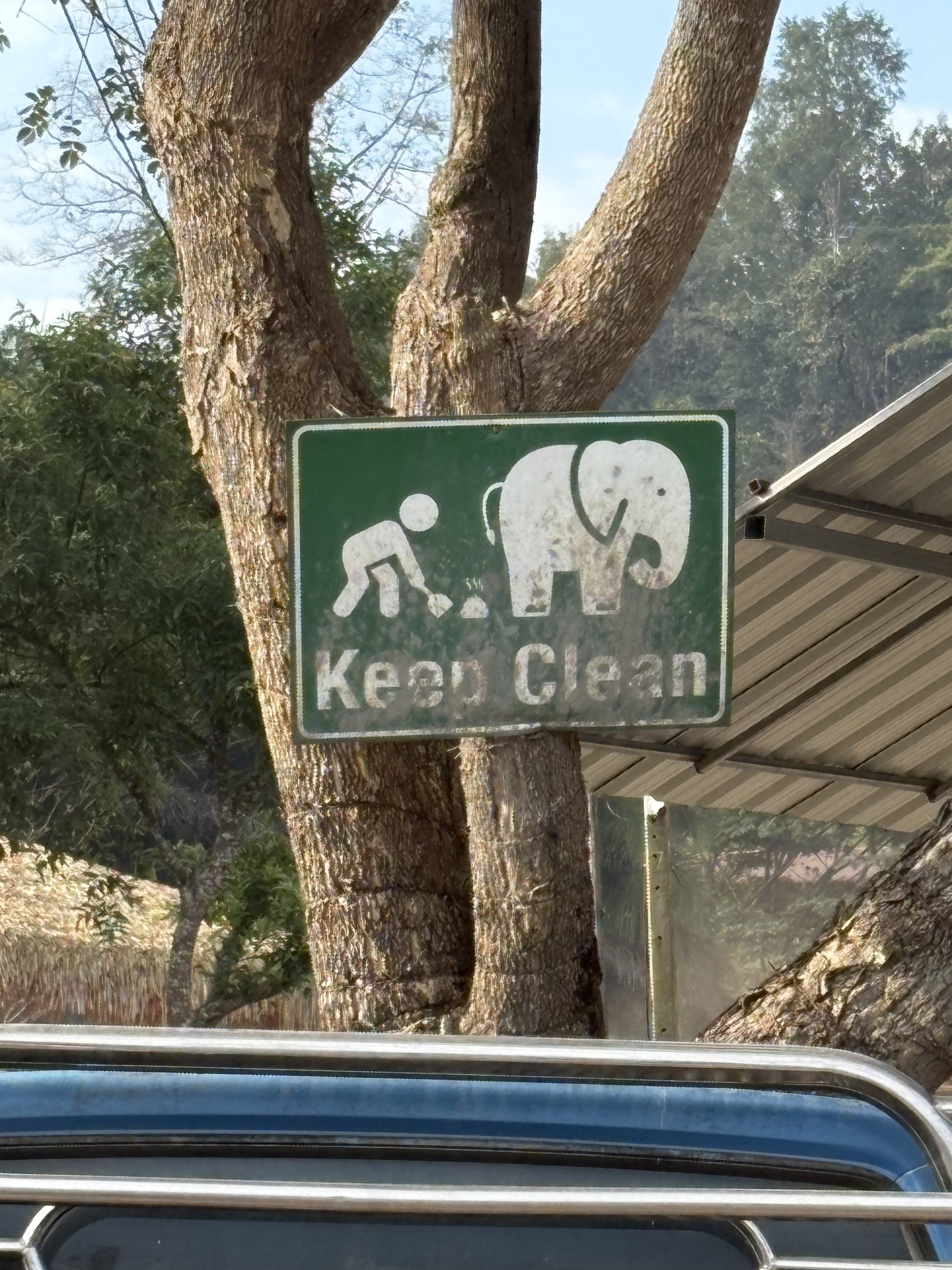   Ran-Tong Elephant Santcuary  