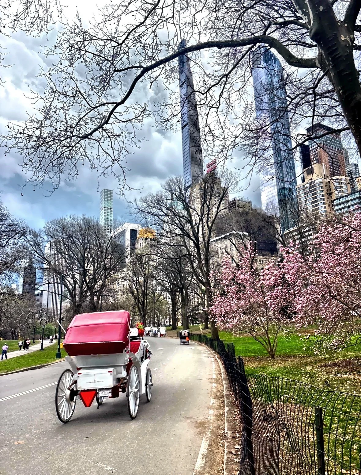  Horse-drawn carriage traveling along a winding lane. 