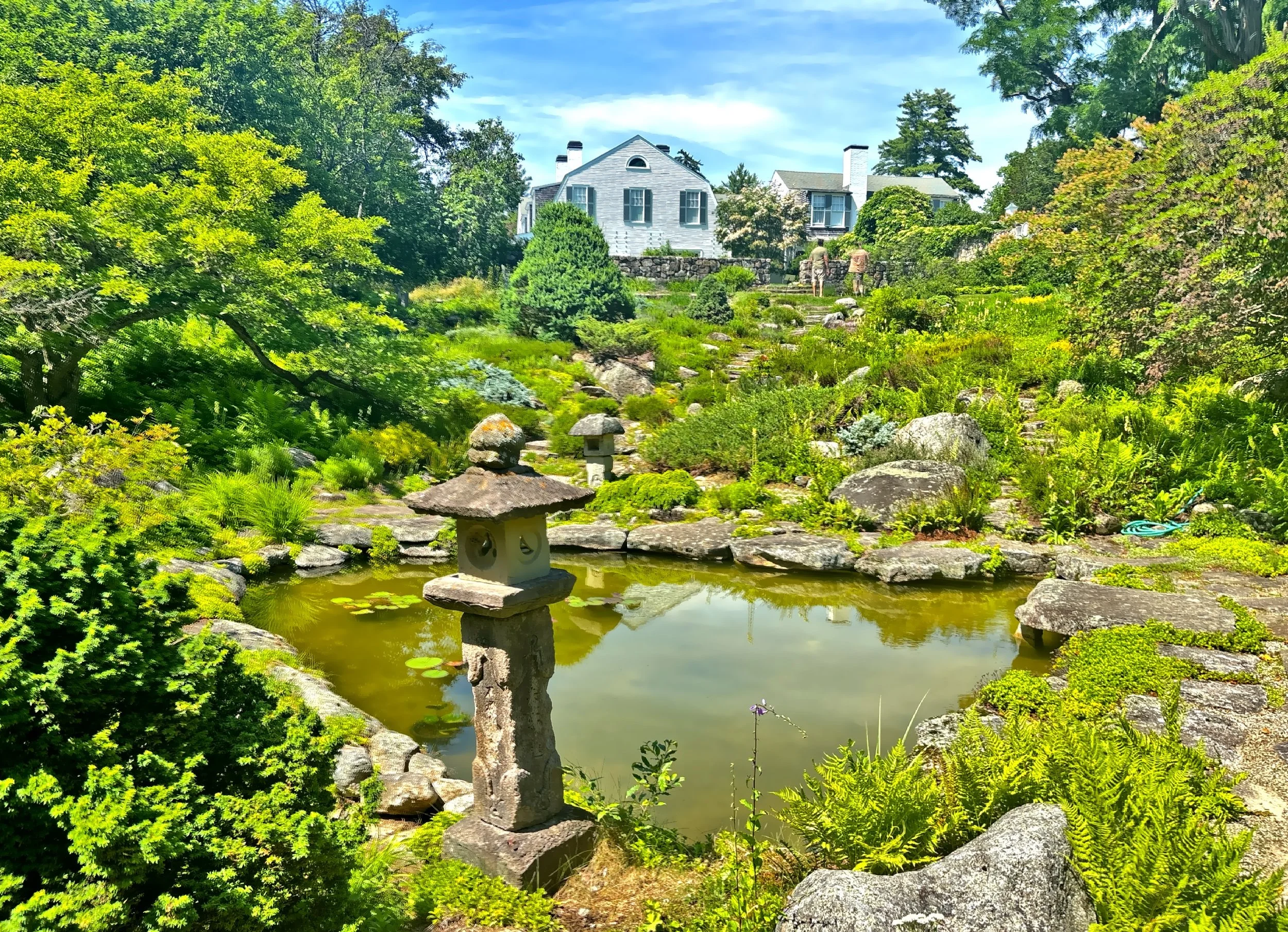  The rock garden and lake 