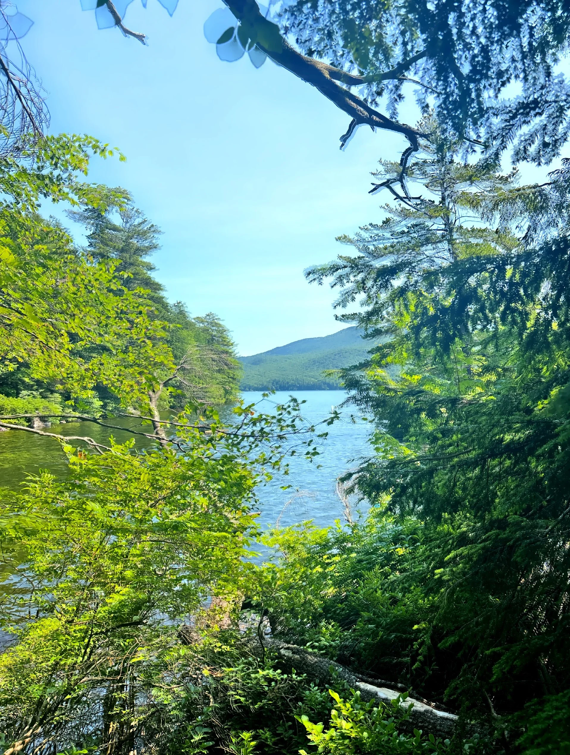 Lake views from the trails 