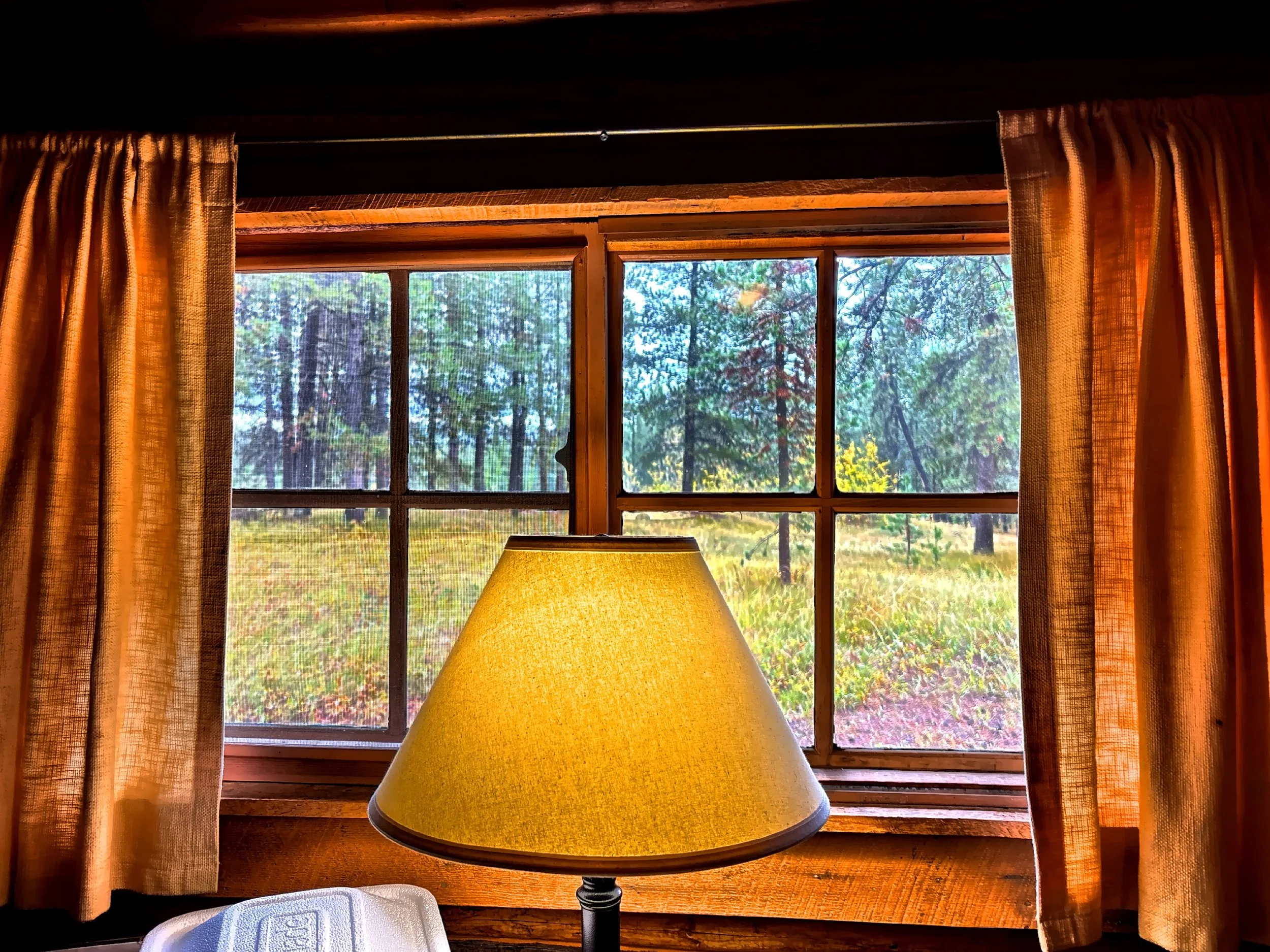  A view from our cabin 