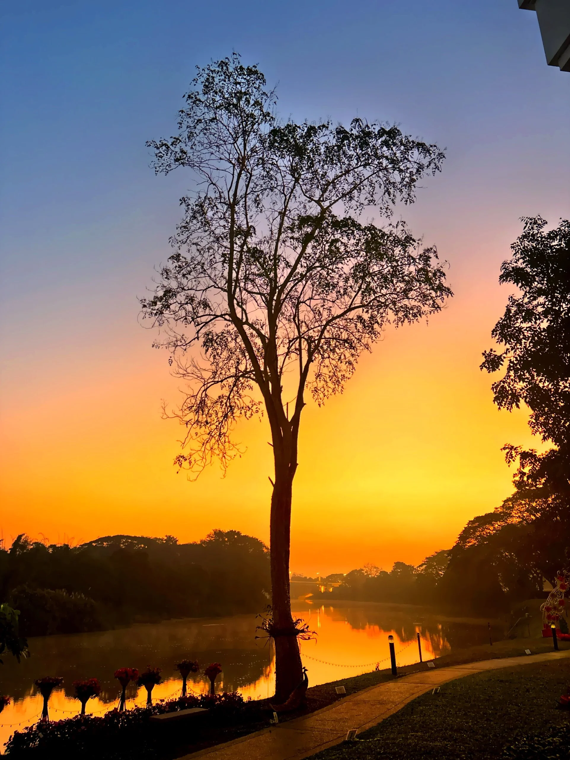 Chiang Rai Sunrise.JPG