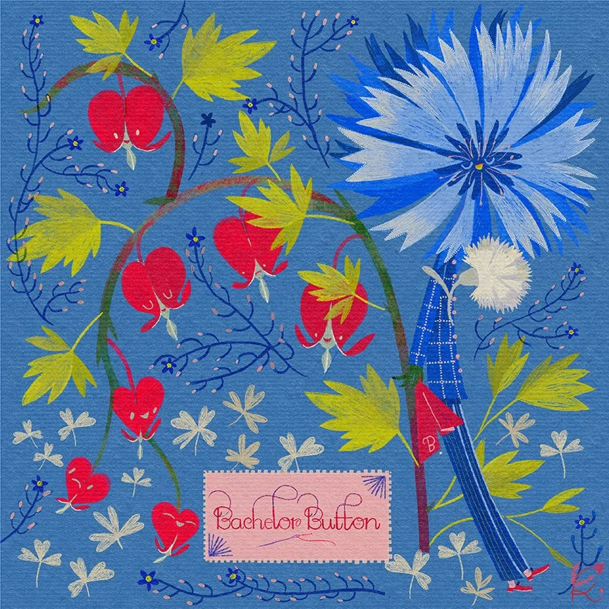 Bachelor Button 72.jpg