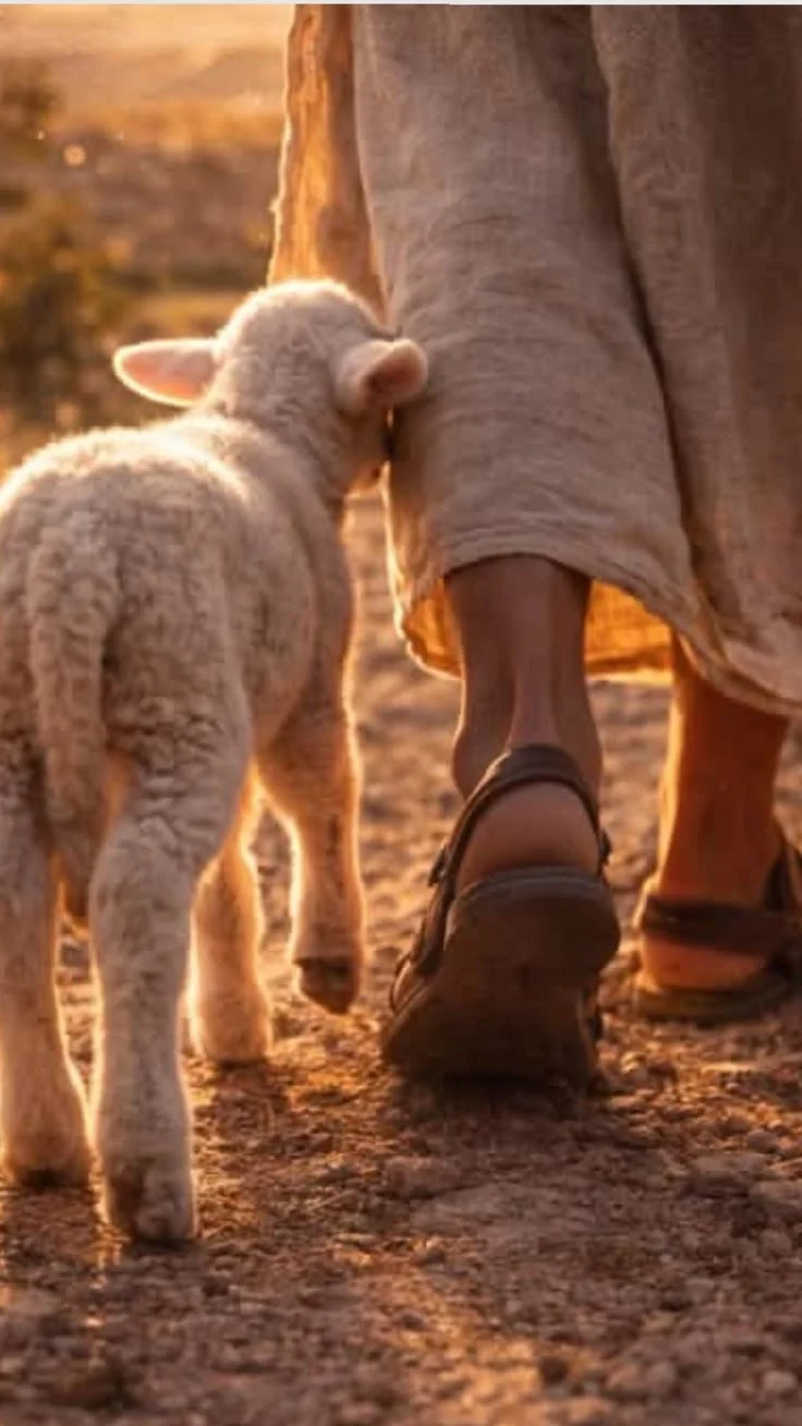 Hebrews 1–2 — The Foundation of Hebrews