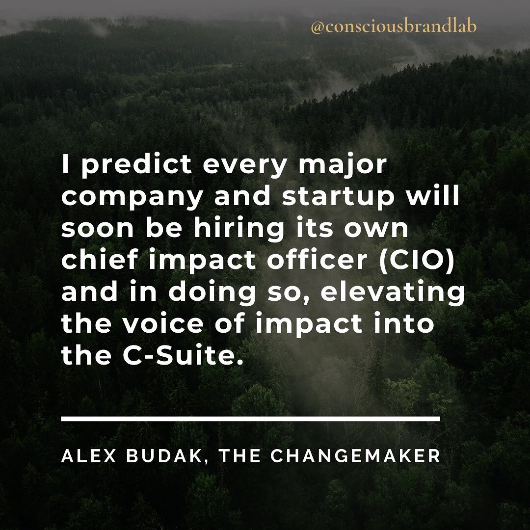 Alex Budak, a professor at UC Berkeley and author of the upcoming book, &ldquo;Becoming a Changemaker&rdquo;, underscores the growing importance of Chief Impact Officers on corporate leadership teams. If this interests you, check out his article in I