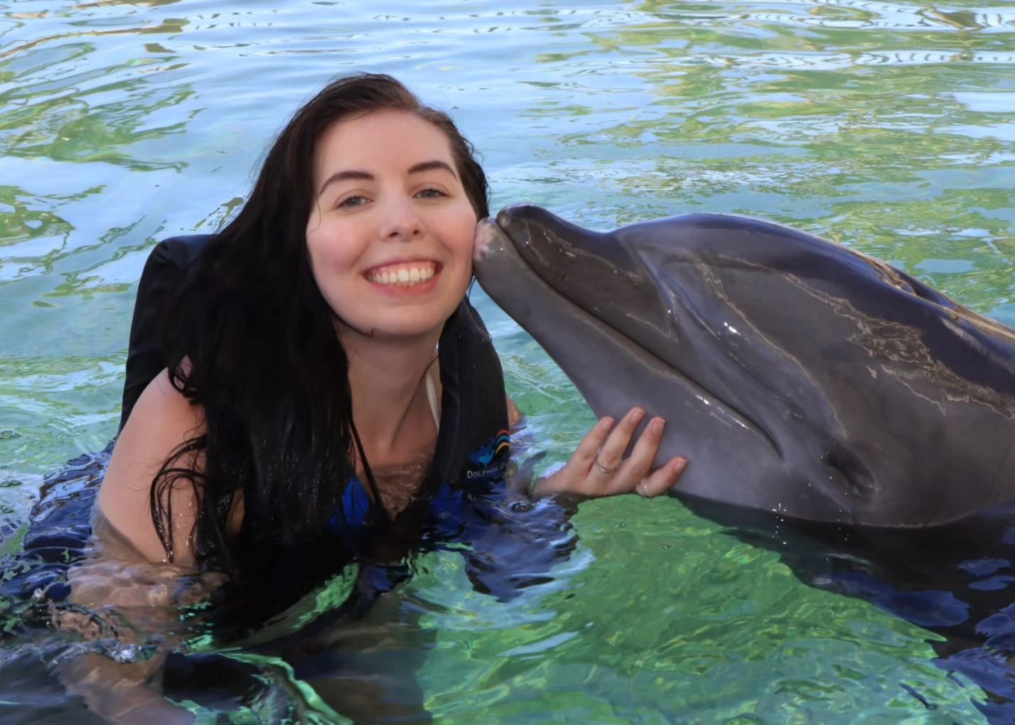 Dolphin kisses 🐬😘