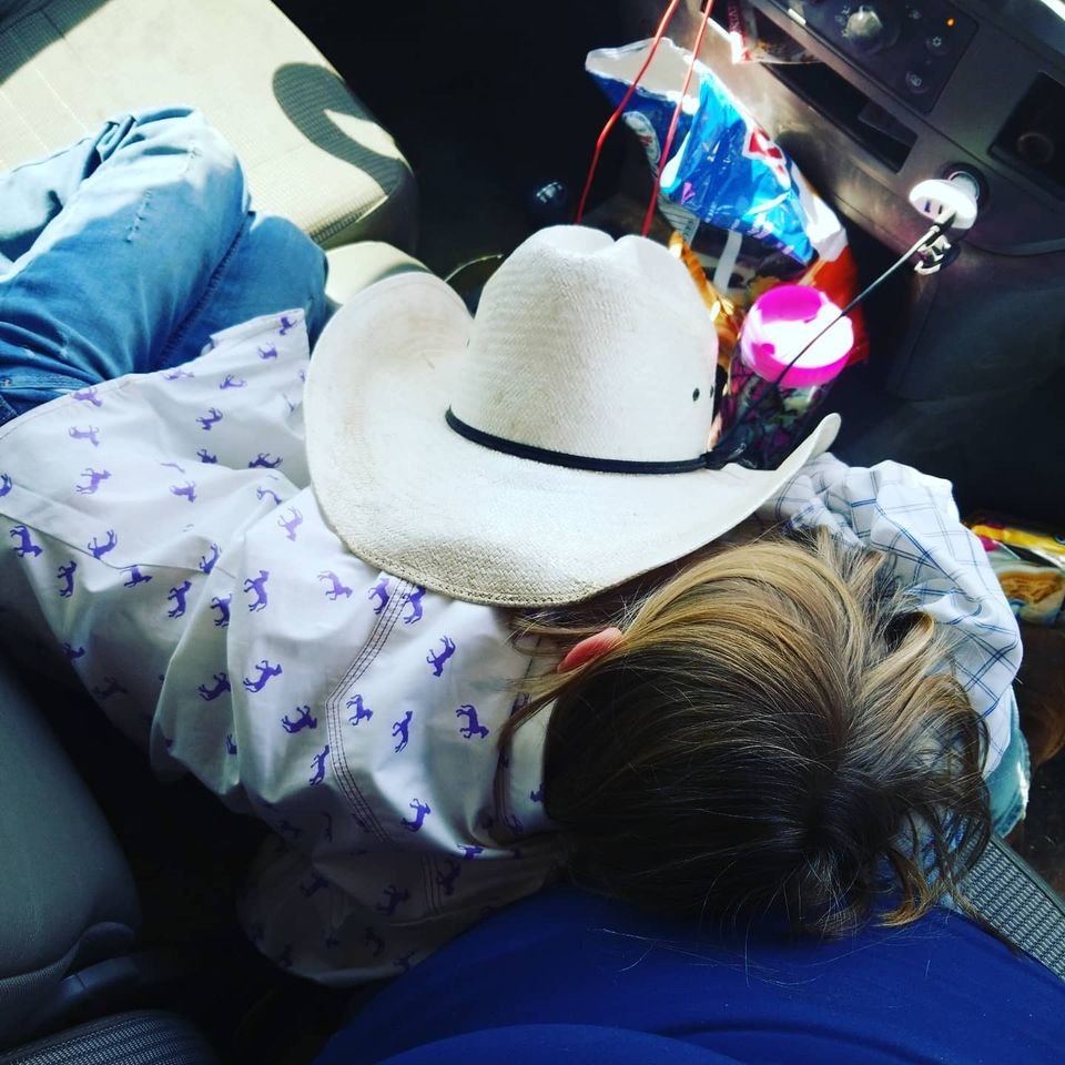 Hauling Cows.jpg