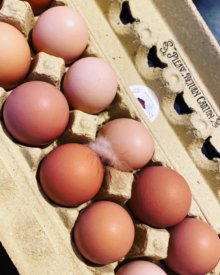 Eggs Yellow Carton.jpg