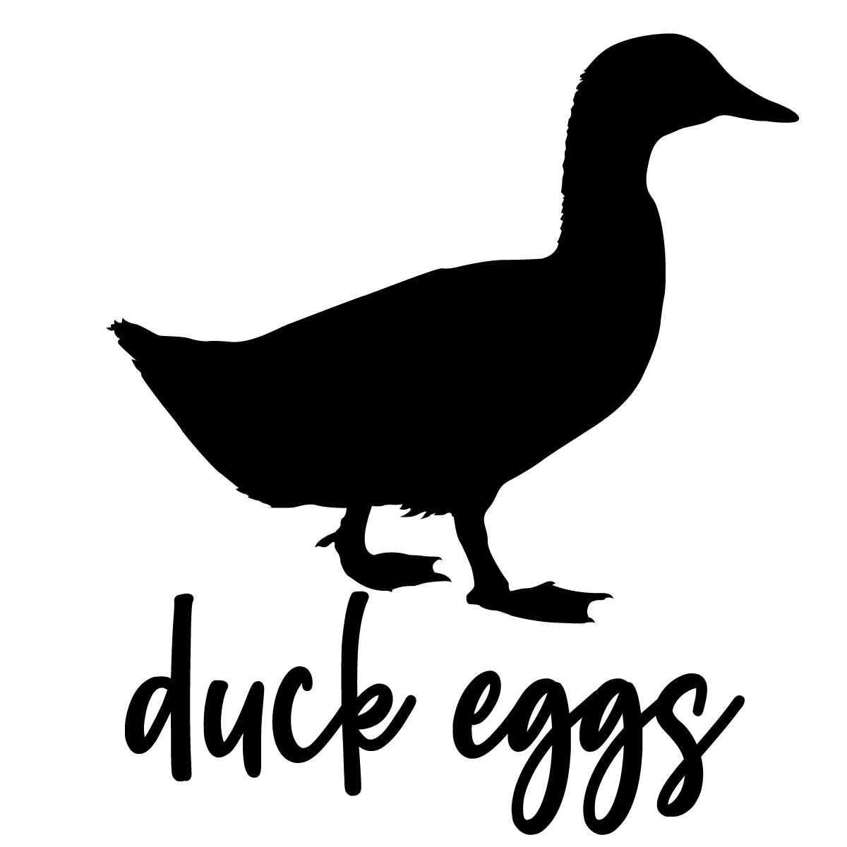 Farm Fresh Duck Eggs