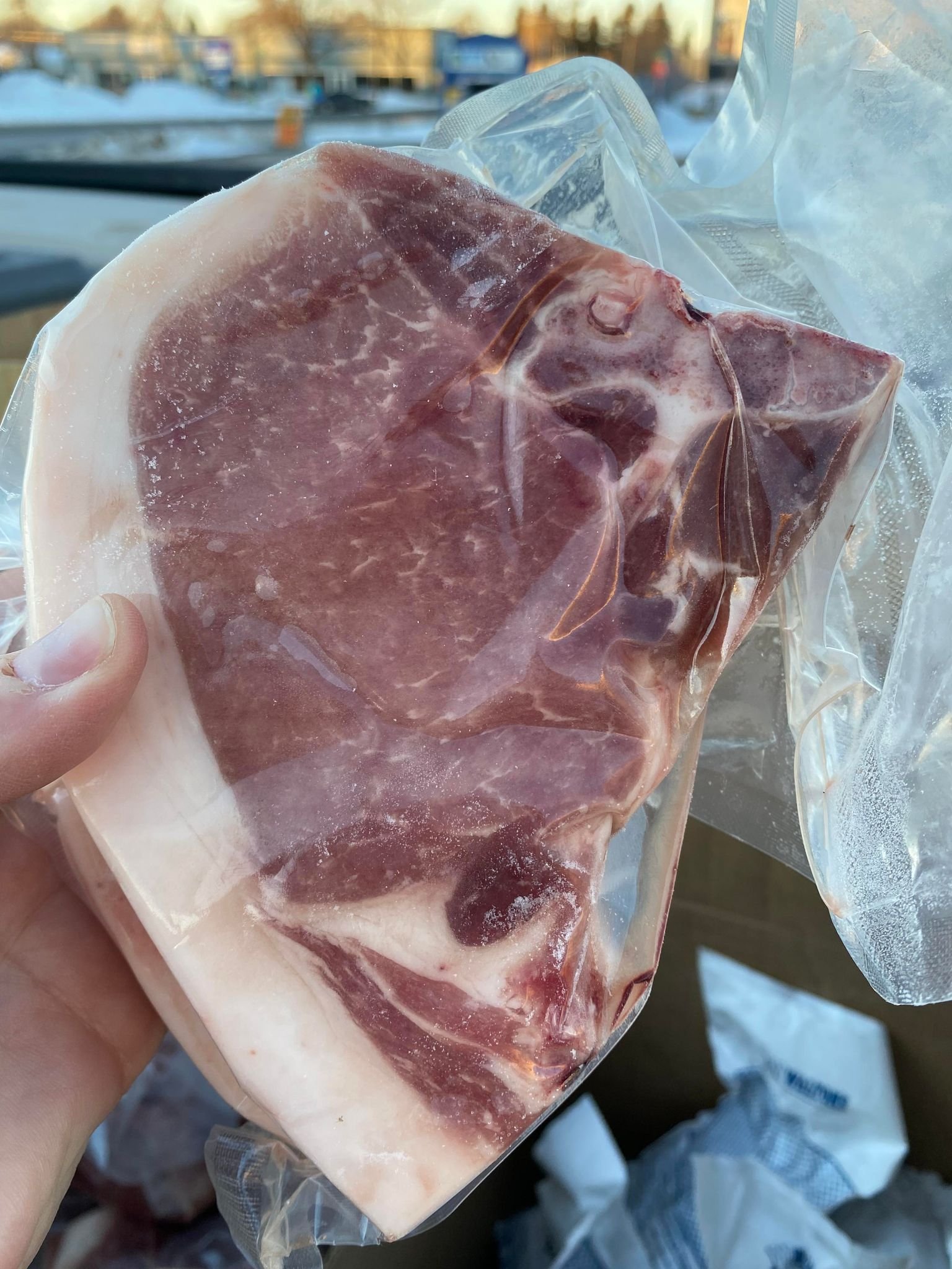 Pastured Pork Chops 2021.jpg