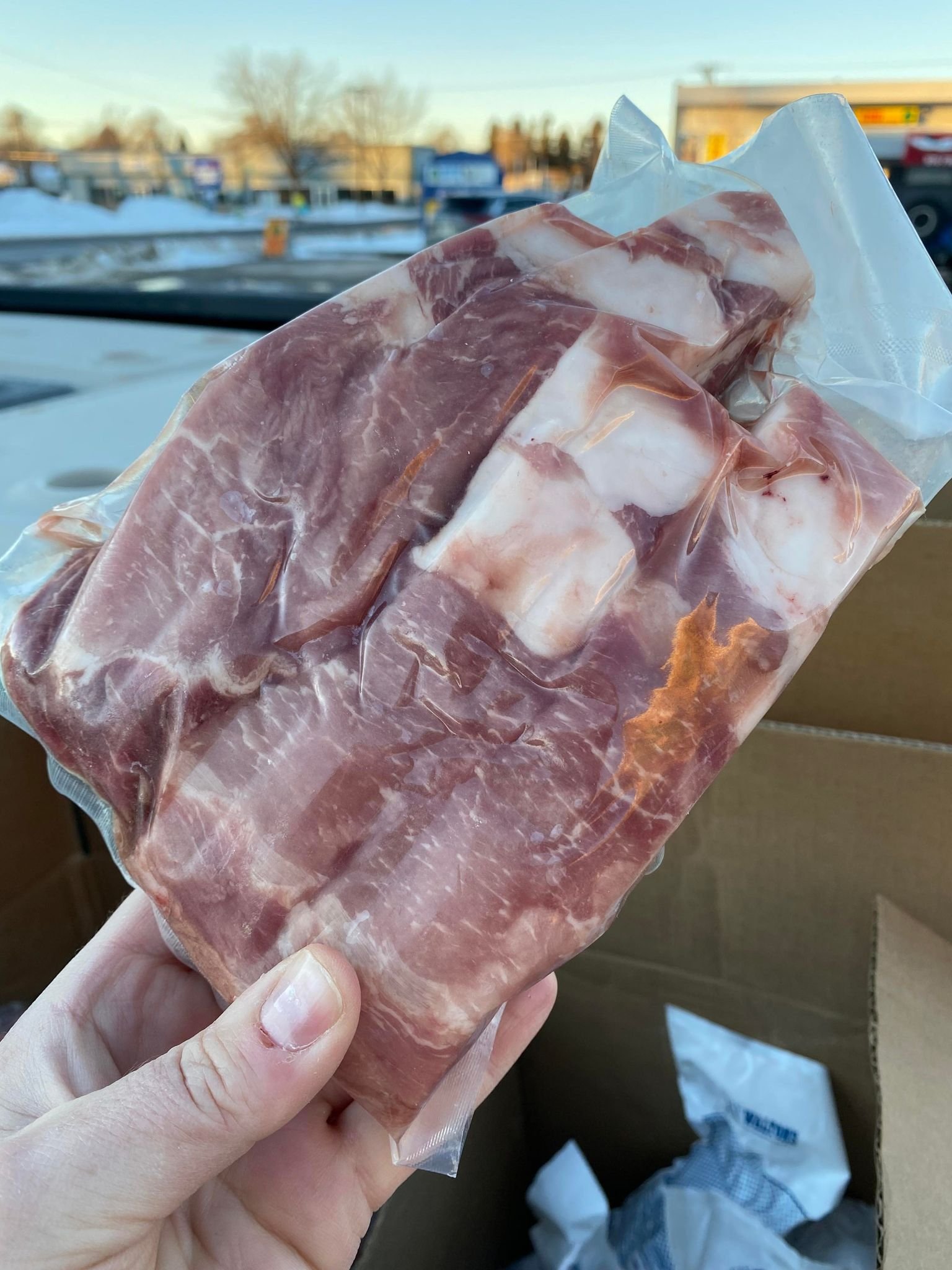 Pastured Pork Ribs 2 2021.jpg