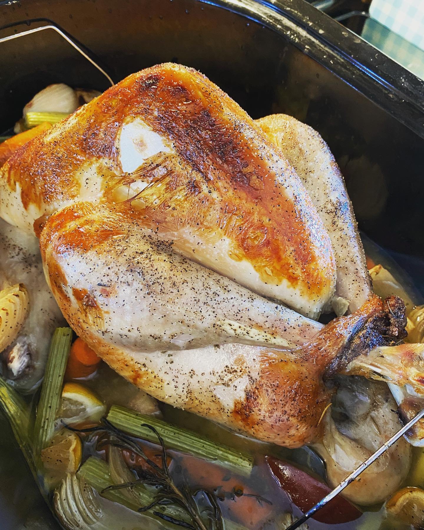 Pastured Turkeys 4.jpg