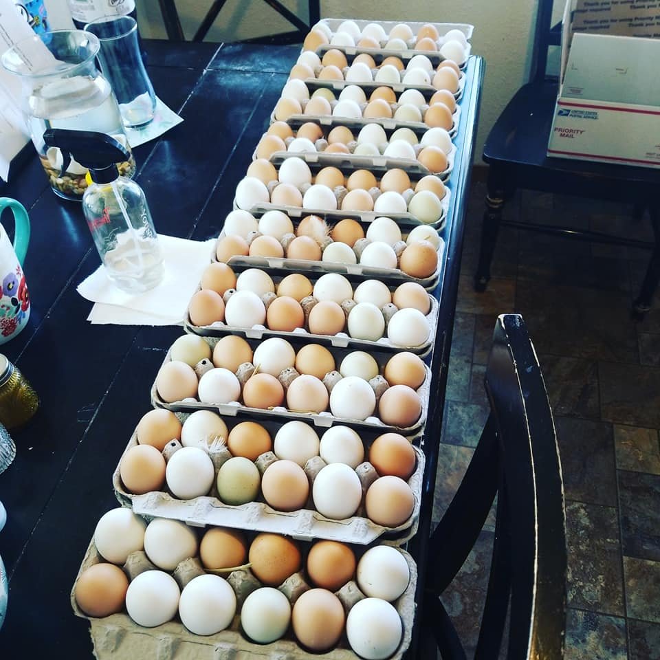 Prairie Opal Eggs 5.jpg