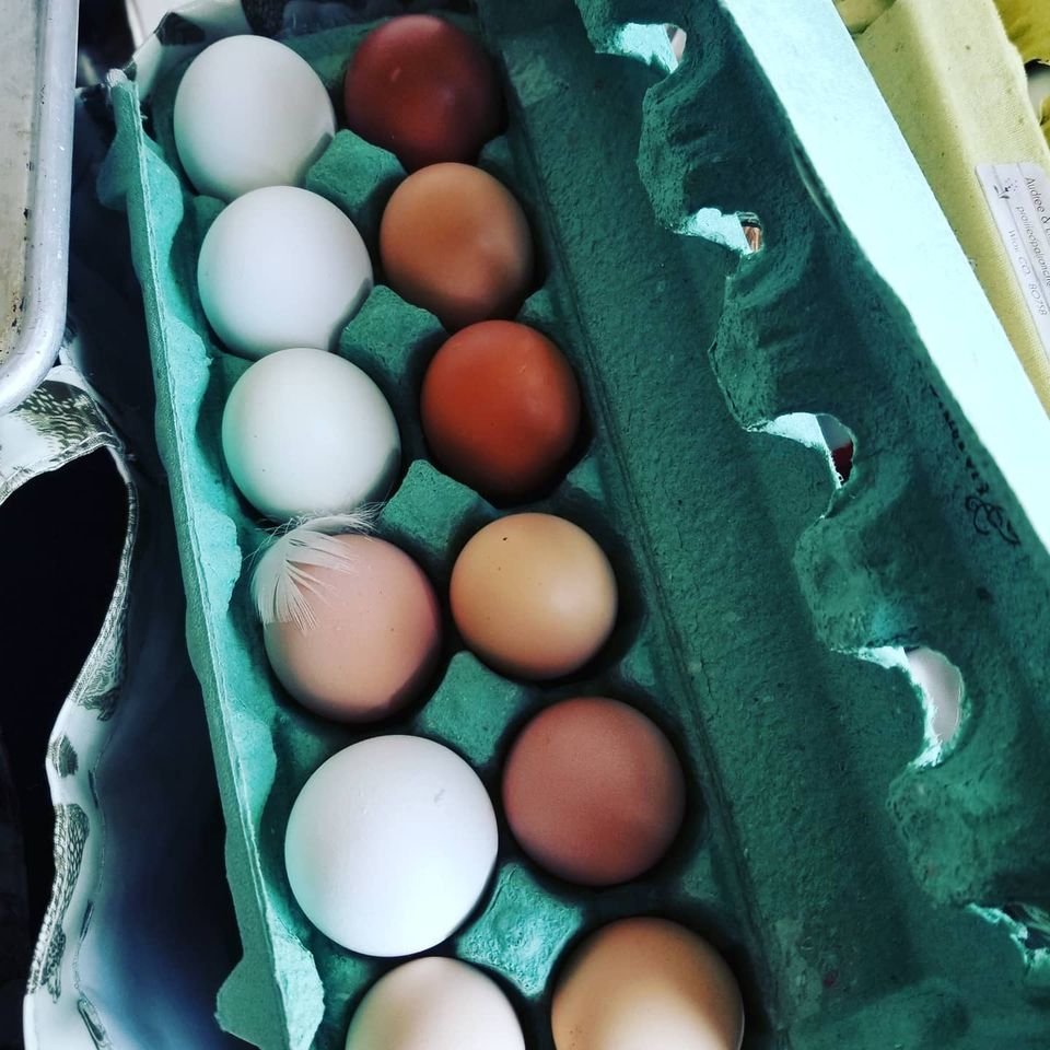 Eggs 4.jpg