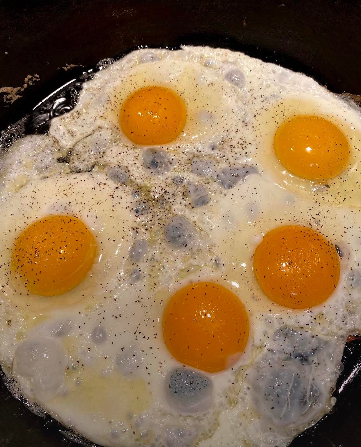 POR EGGS.jpg
