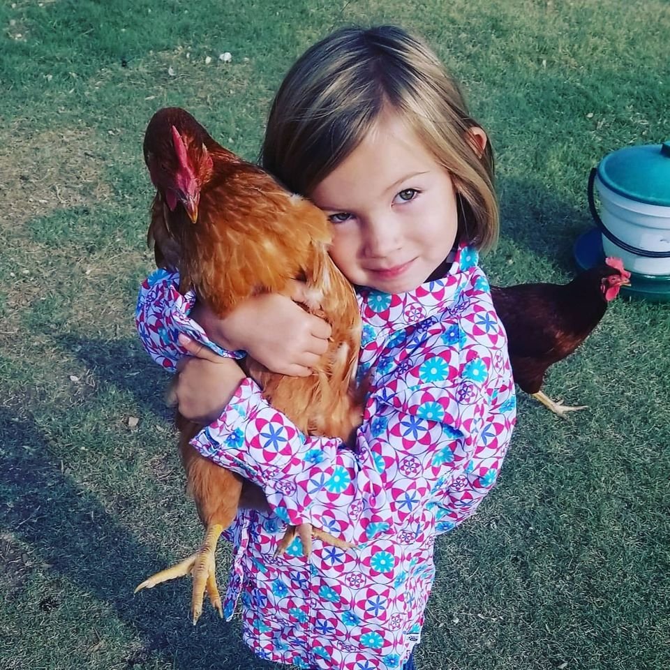 Ellie's Chicken Love Bug.jpg