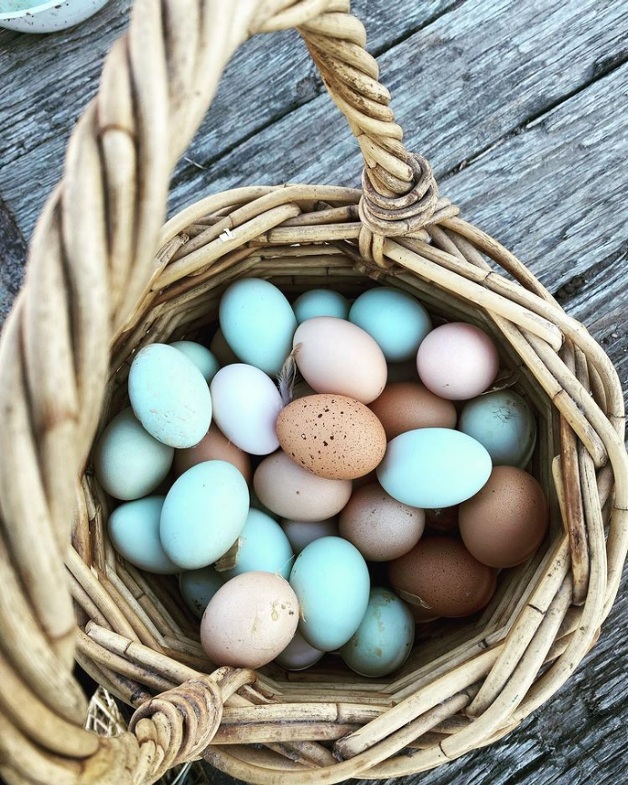 A EGGS! .png