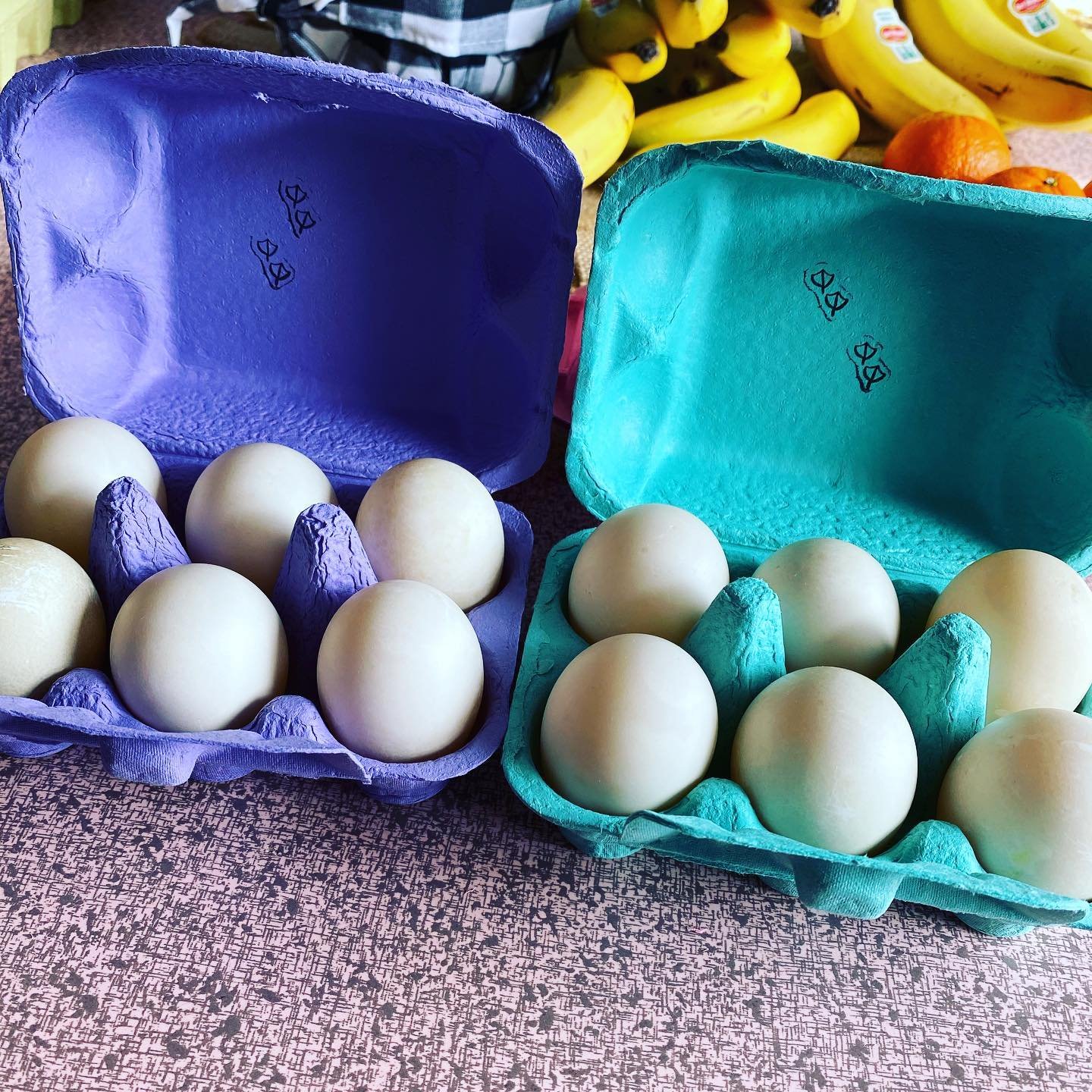 Duck Eggs 6 Pack 2.jpg