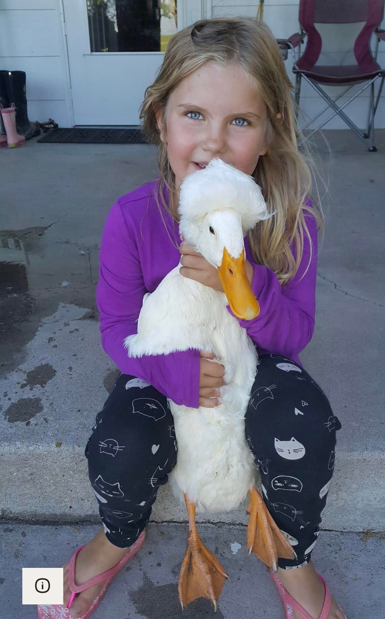 Ducks Audree Jo.jpg