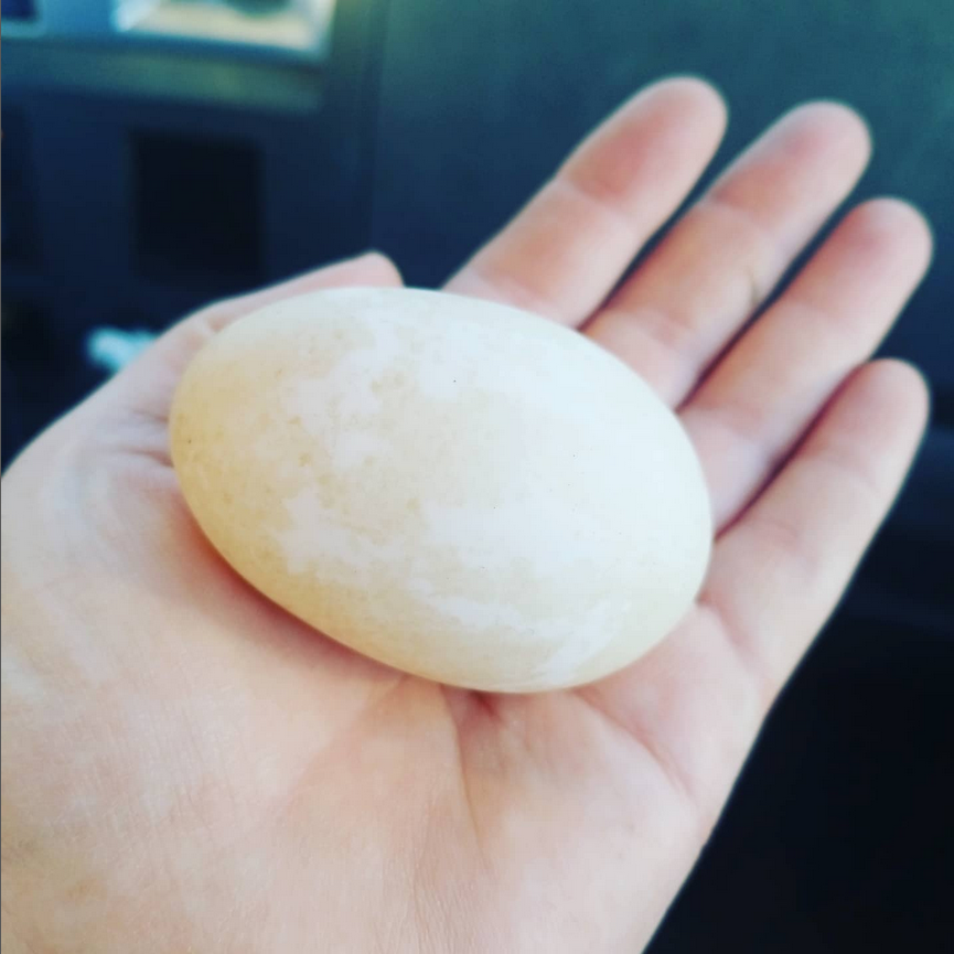 Duck Eggs @.png